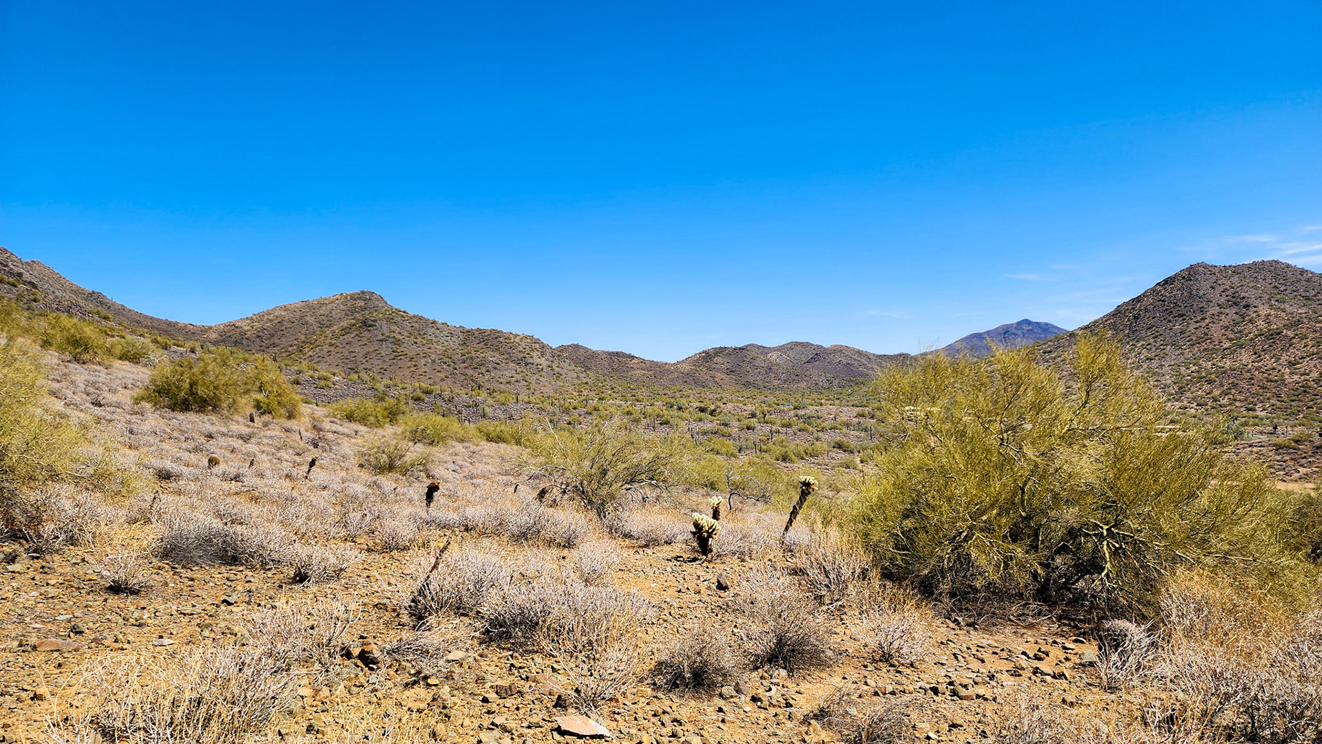 Cave Creek Regional Park, AZ
