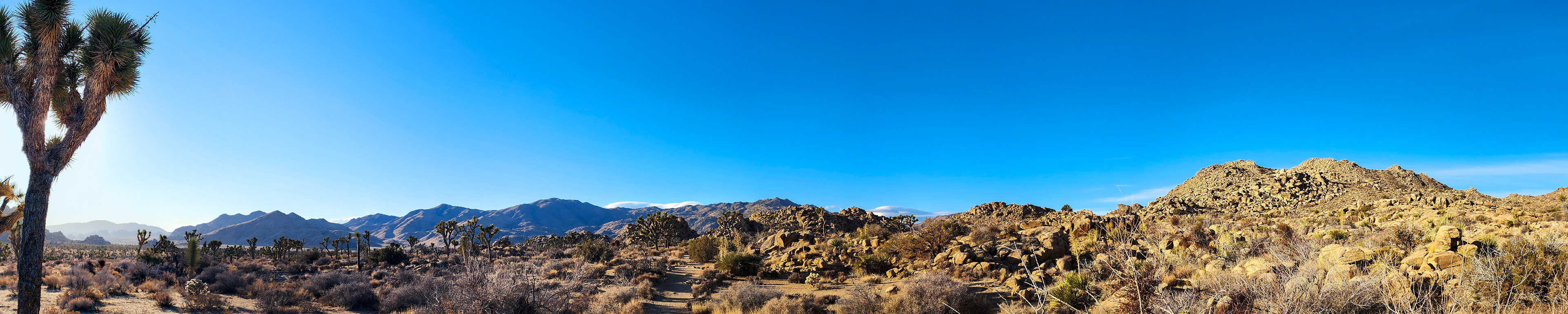 Near Hemmingway