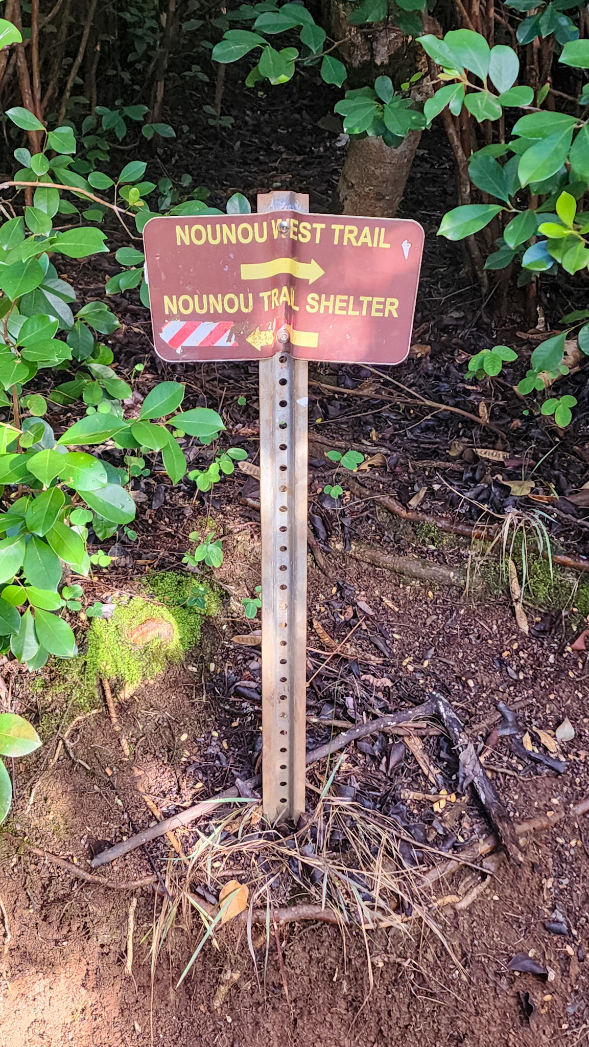 Nounou Trail Signage, Kaua'i Hawai'i