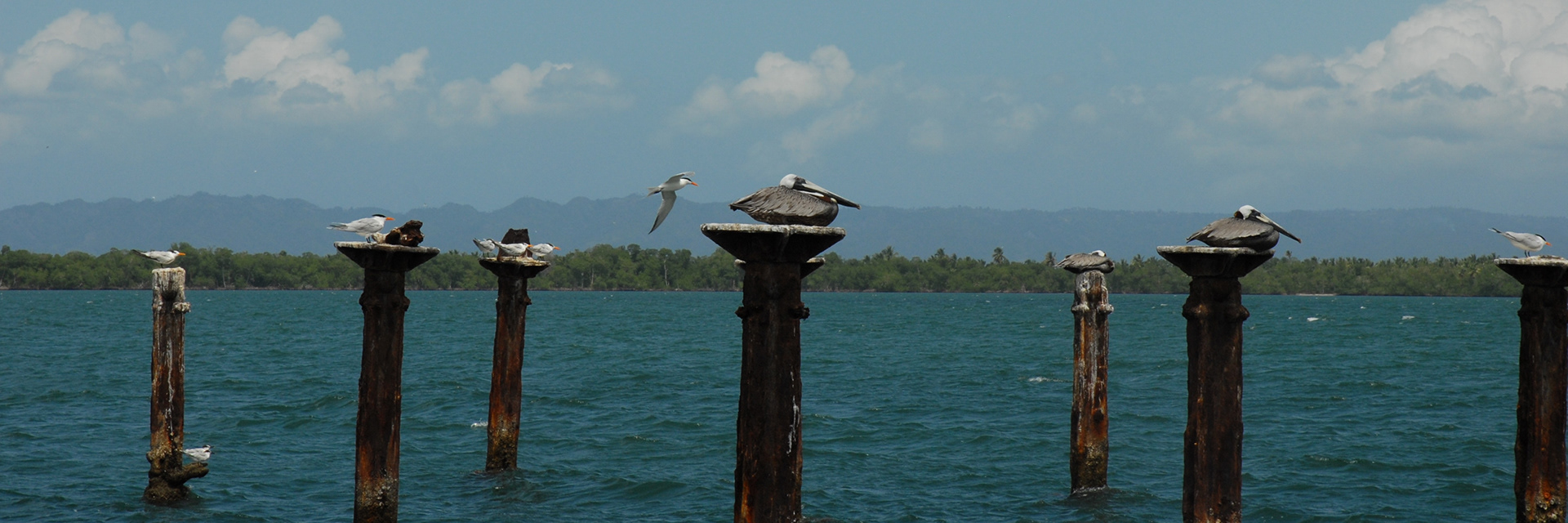 Los Haitises National Park, Dominican Republic