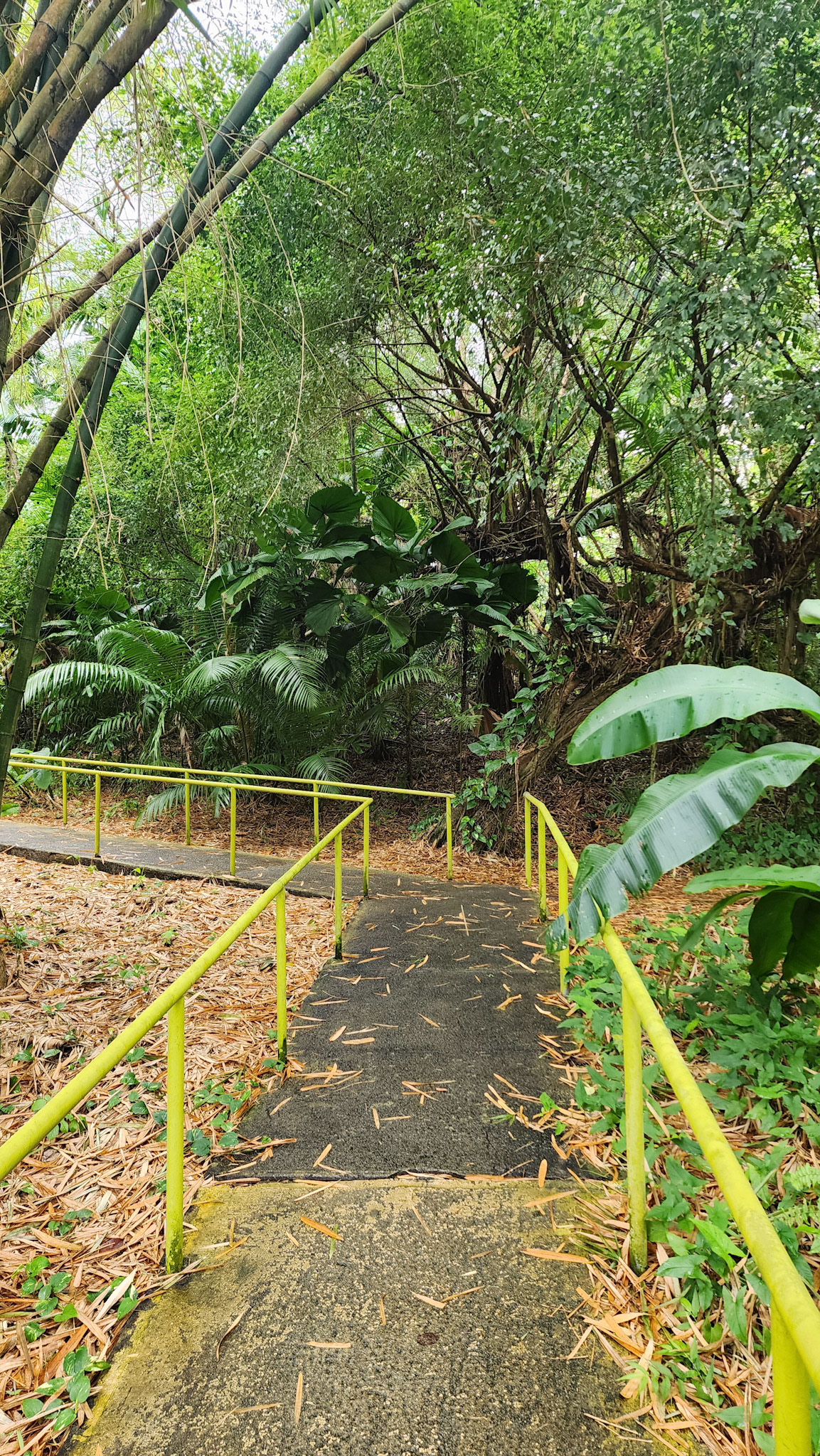 Botanical Garden in Rio Piedras