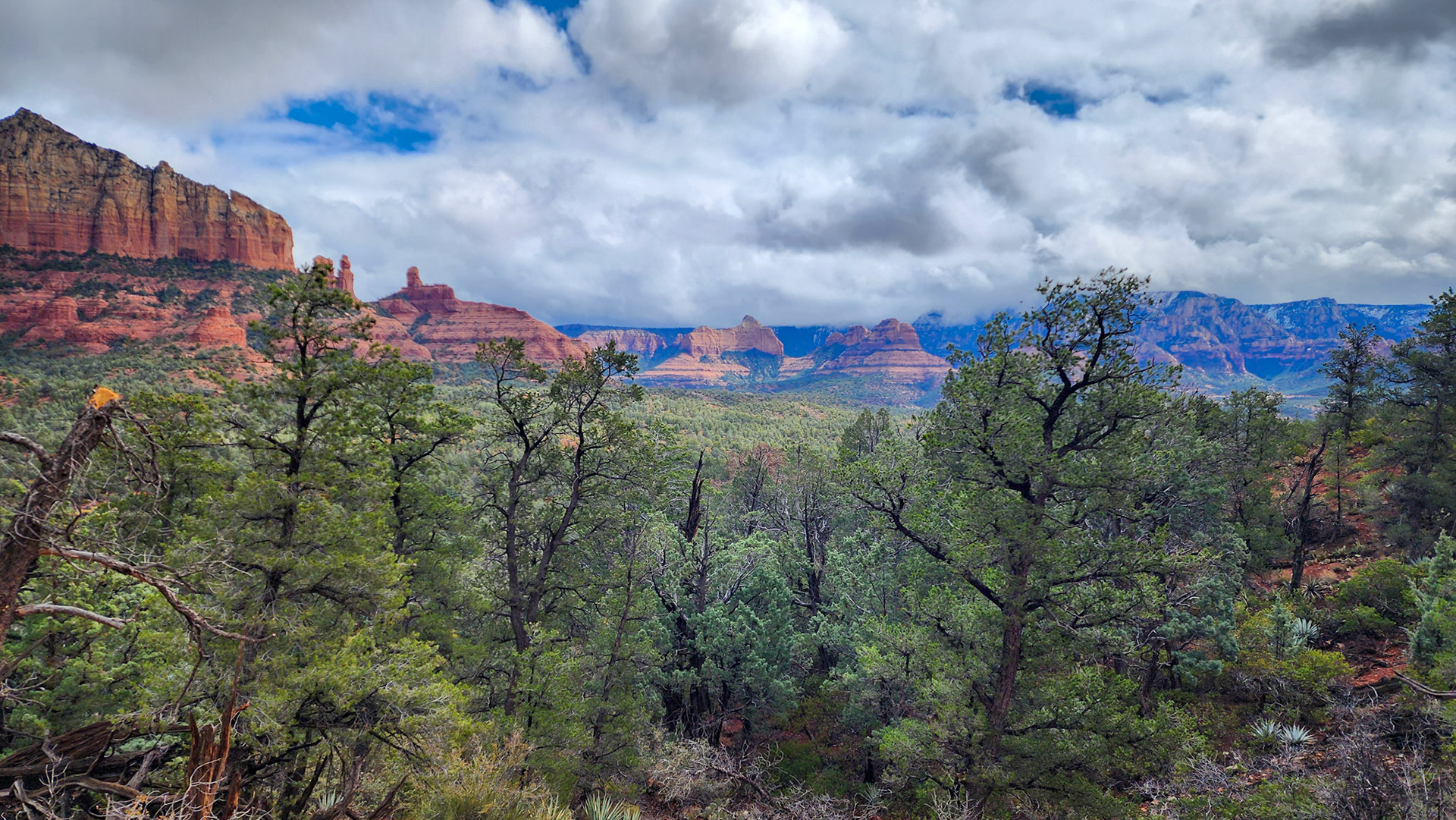 Brin Mesa Trail, Coconino National Forest, AZ