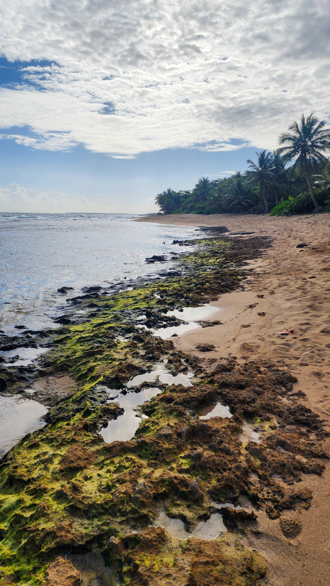 Playa La Esperanza, Barceloneta, Manati, Puerto Rico