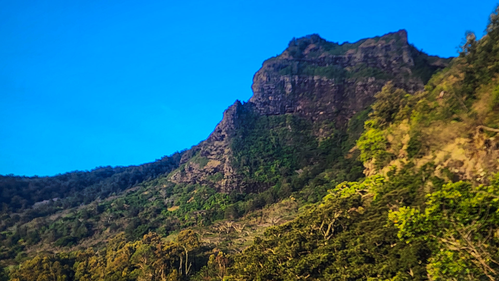 Nose of the Sleeping Giant, Nounou Forest Preserve, Kaua'i, Hawai'i