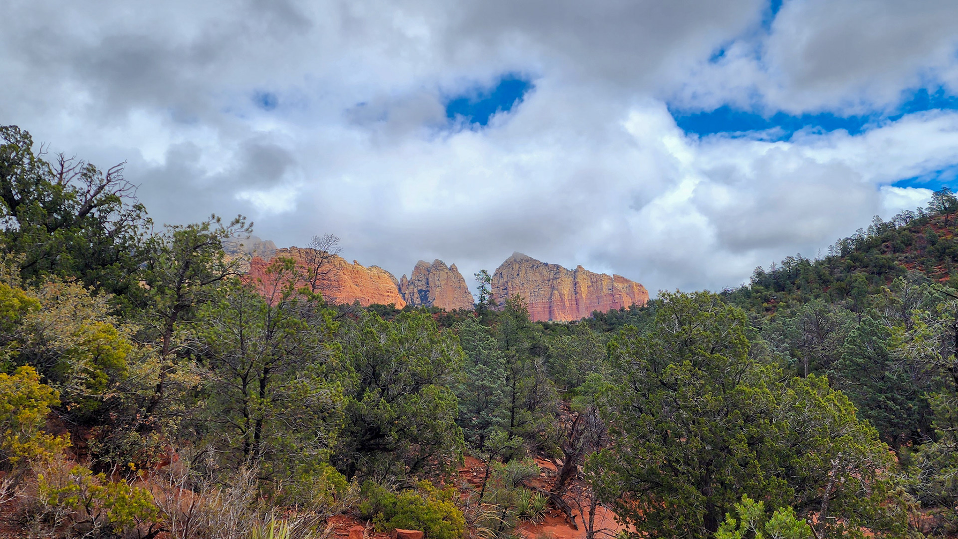 Brin Mesa Trail, Coconino National Forest, AZ