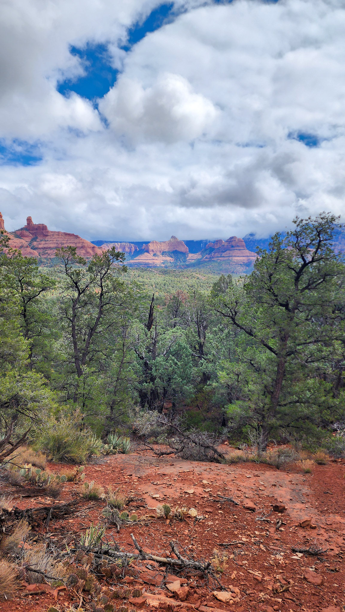 Brin Mesa Trail, Coconino National Forest, AZ