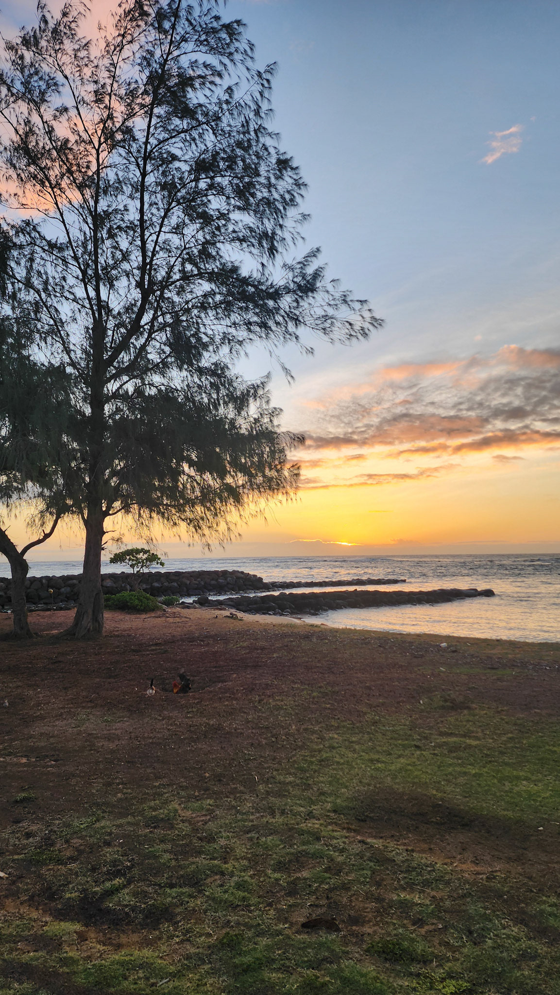 Kapa'a Beach, Kaua'i, Hawai'i
