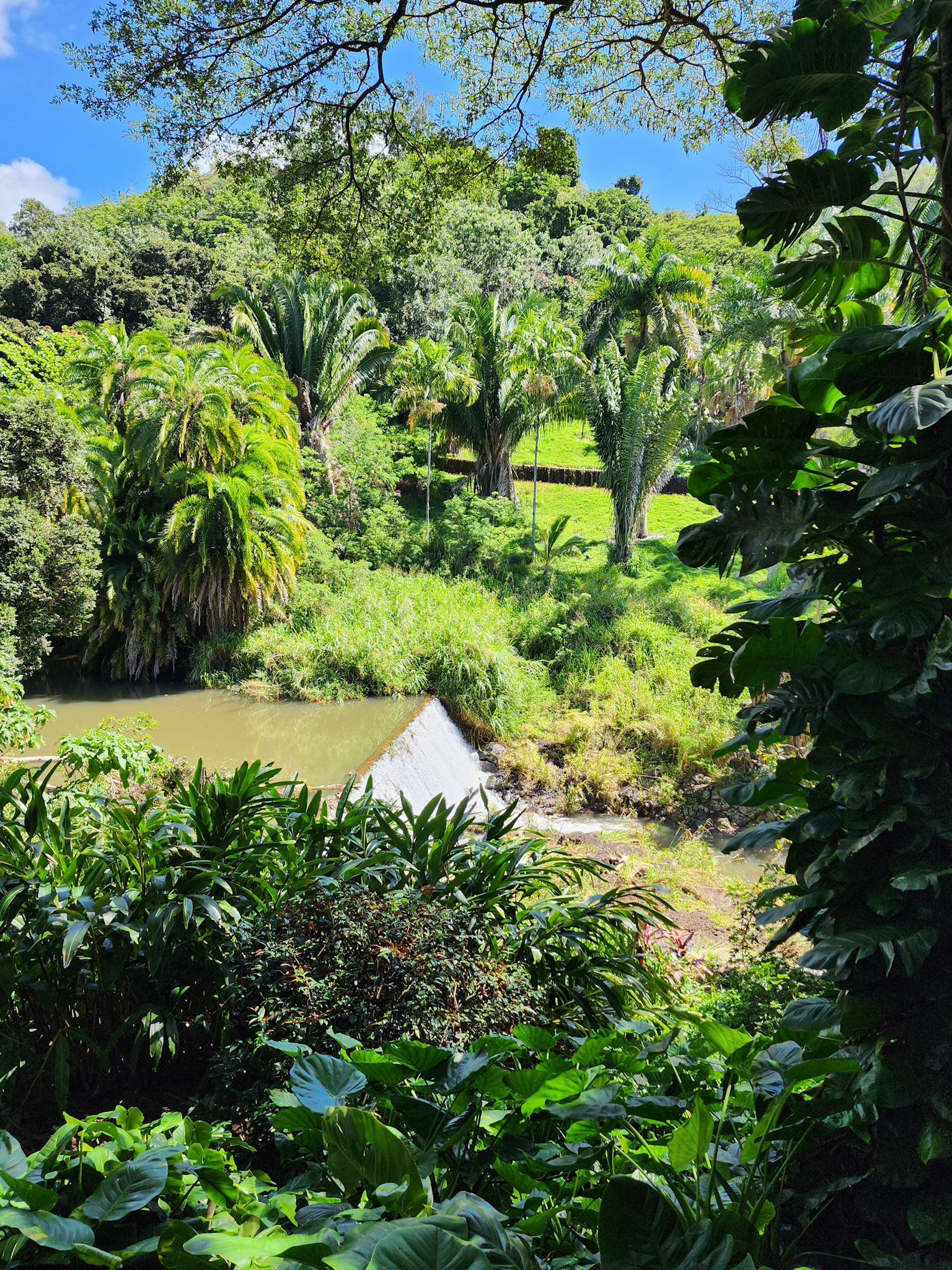 Allerton Garden, Lawai, HI