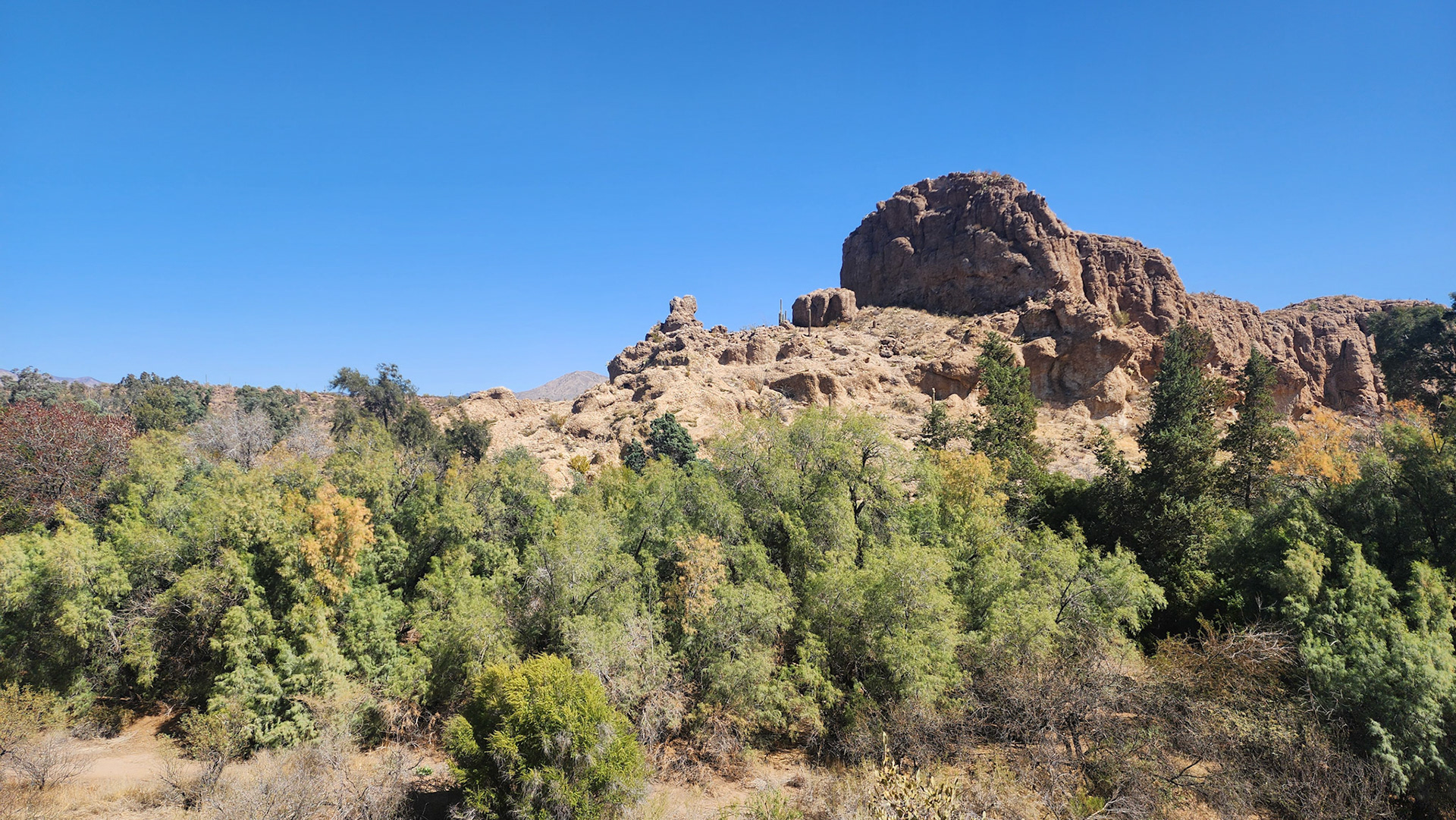 Boyce Thompson Arboretum