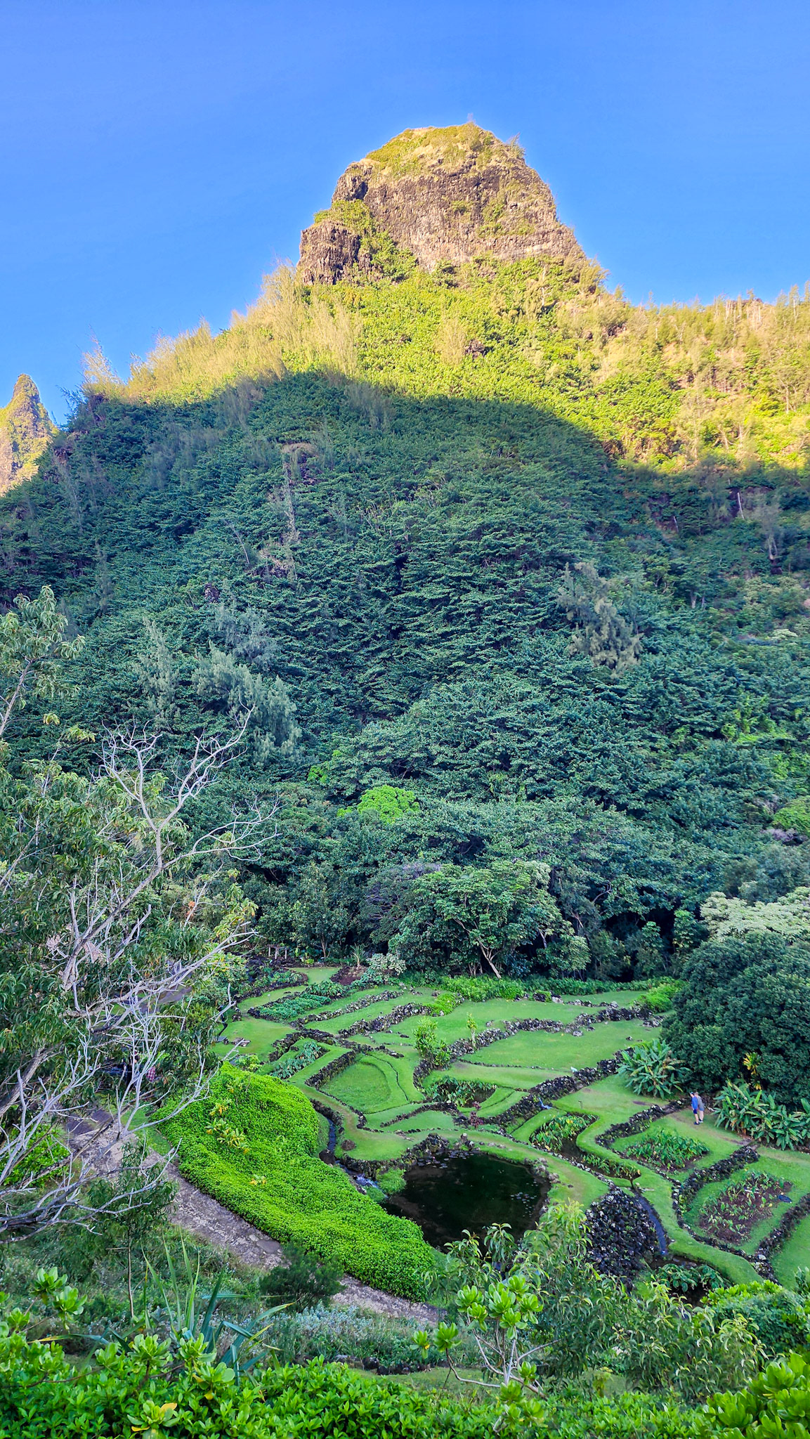 Limahuli Garden & Preserve, National Tropical Botanical Garden, Kaua'i, Hawai'i