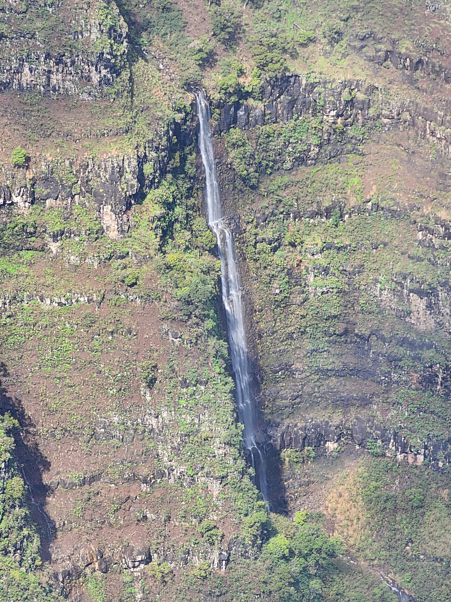 Pihea Trail, Hanapepe, HI