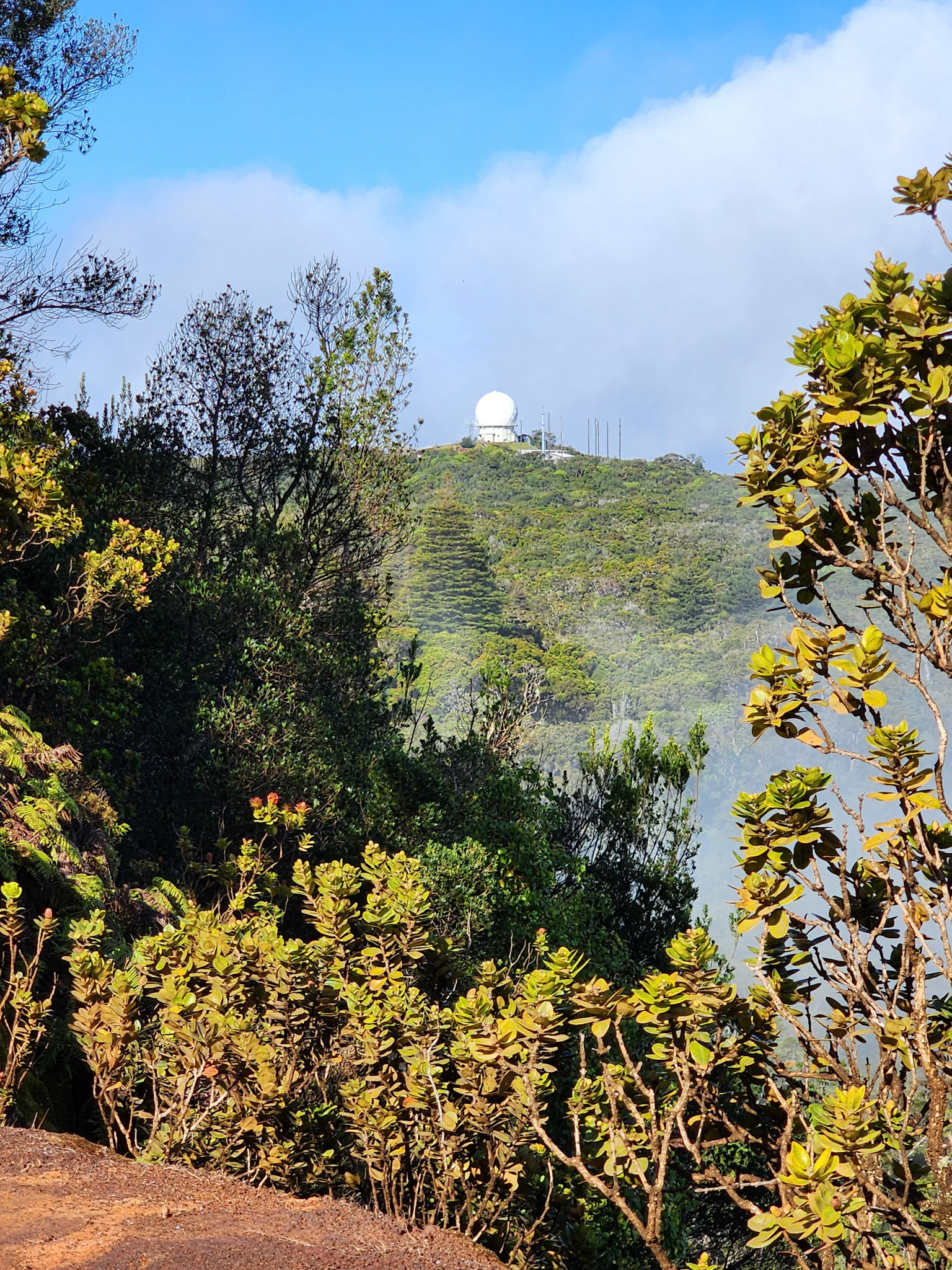 Pihea Trail, Hanapepe, HI