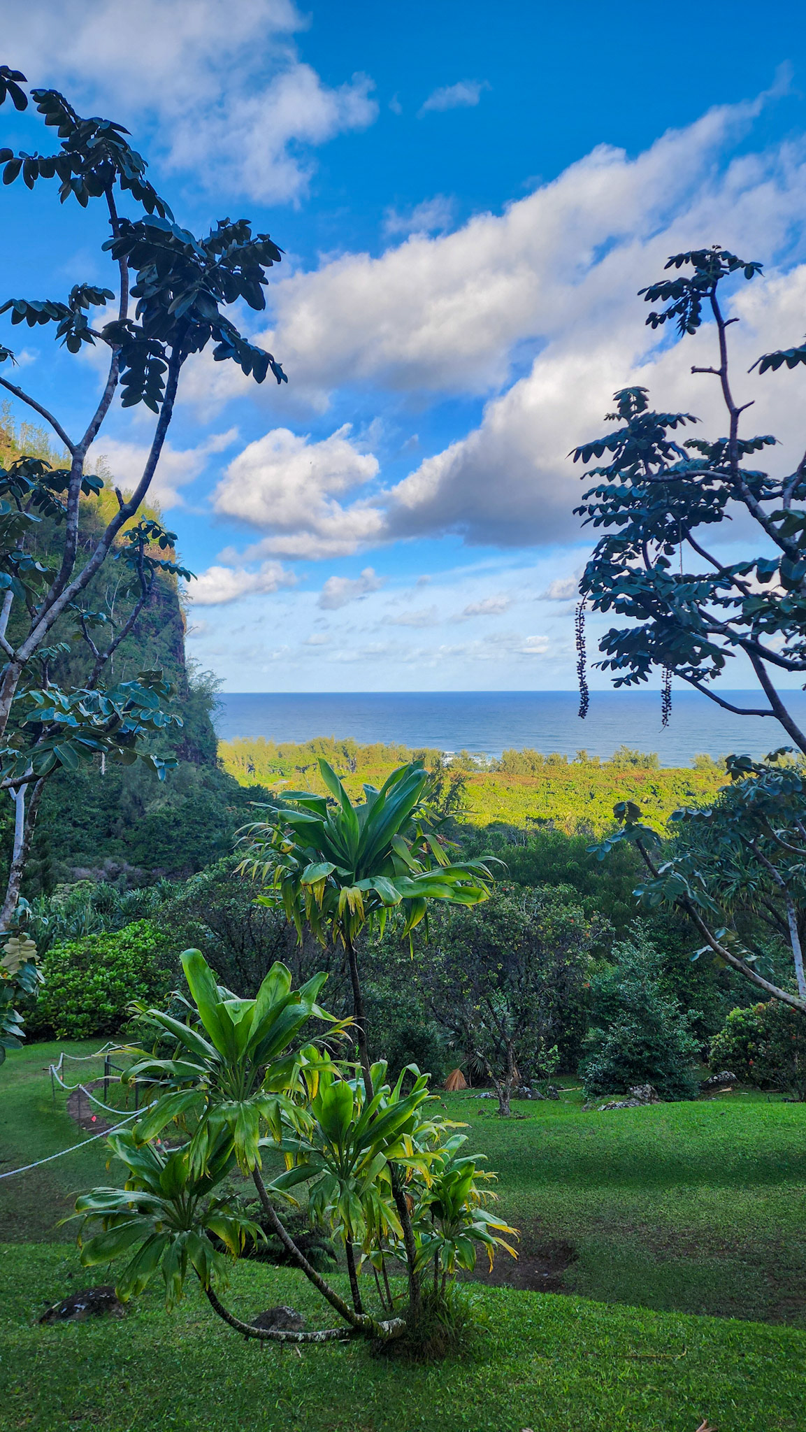 Limahuli Garden & Preserve, National Tropical Botanical Garden, Kaua'i, Hawai'i