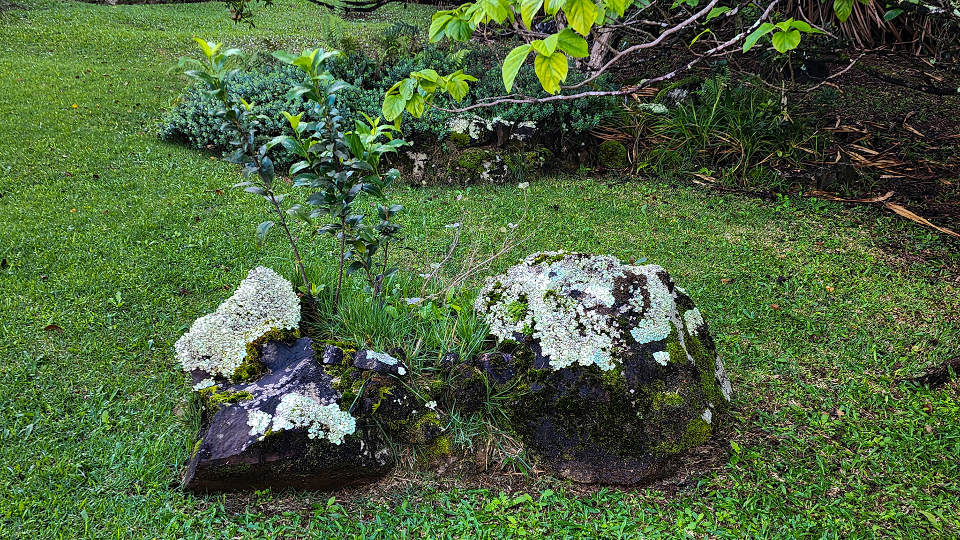Limahuli Garden & Preserve, National Tropical Botanical Garden, Kaua'i, Hawai'i