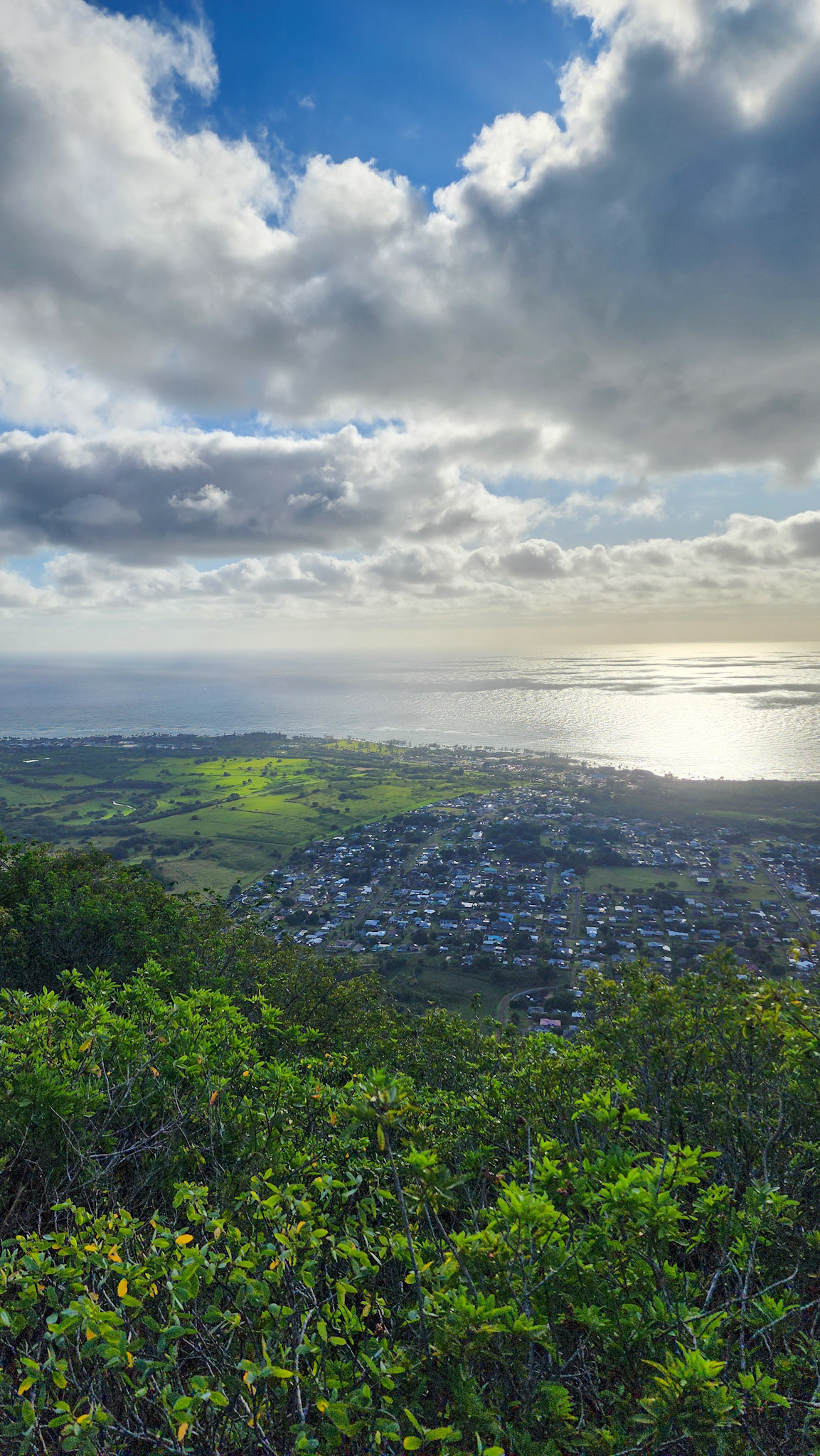 Views from the Sleeping Giant, Nounou Preserve, Kaua'i, Hawai'i
