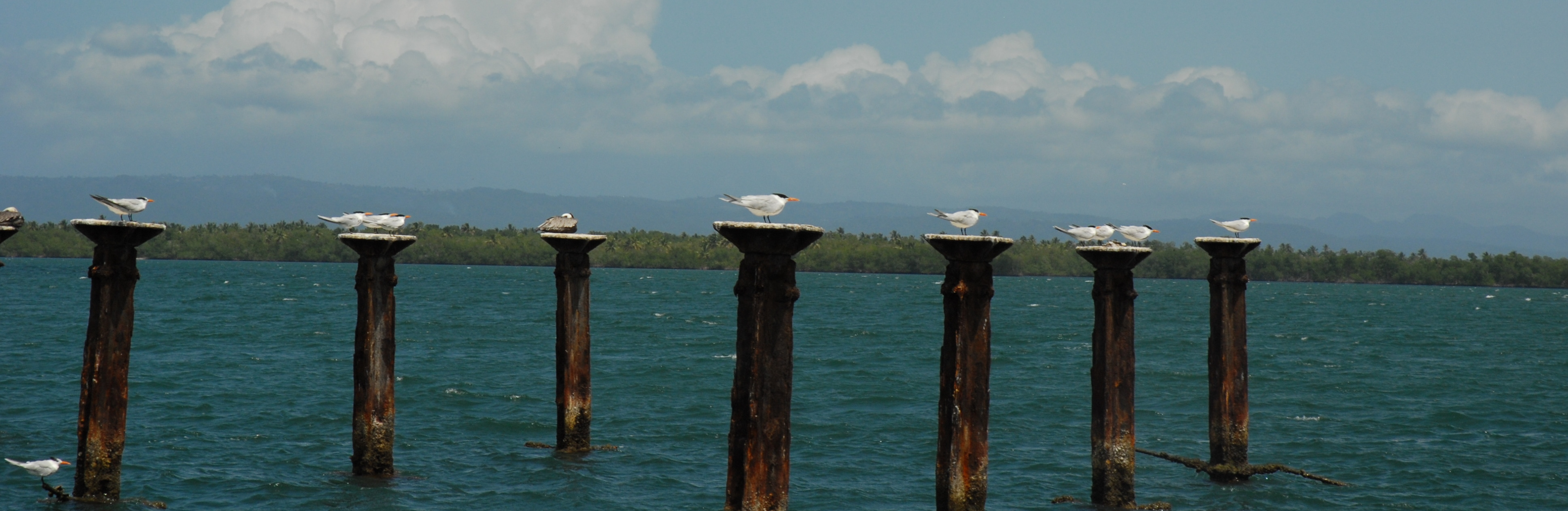 Los Haitises National Park, Dominican Republic