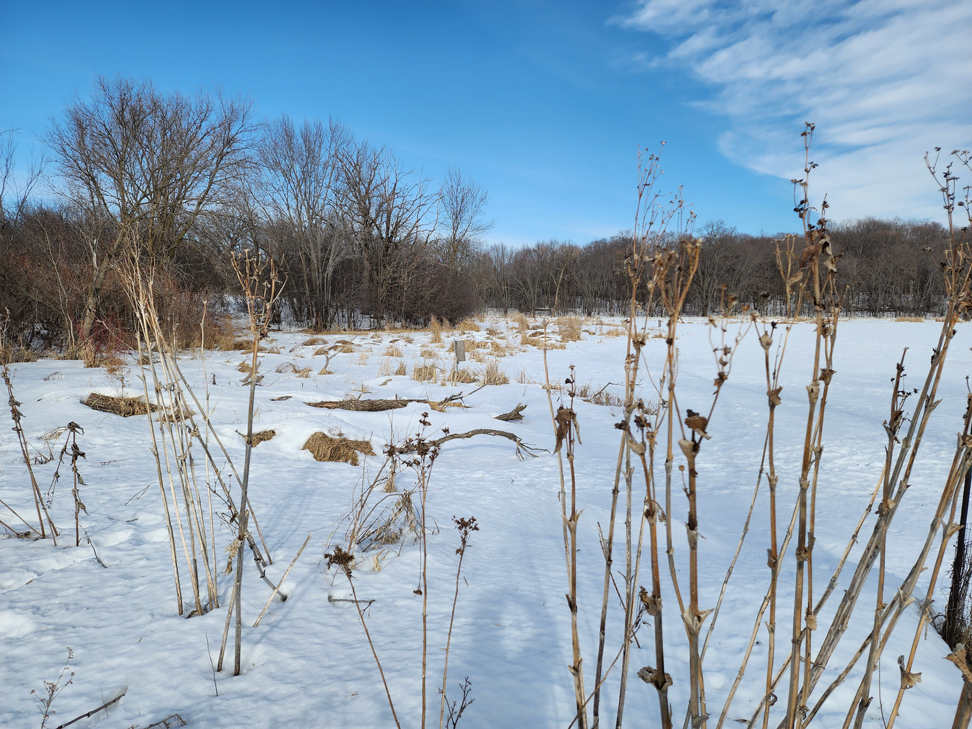 Prairie preserve trails