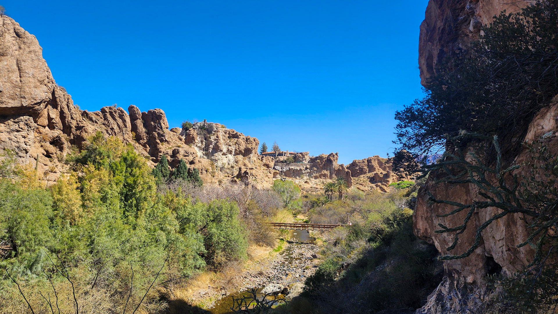 Boyce Thompson Arboretum