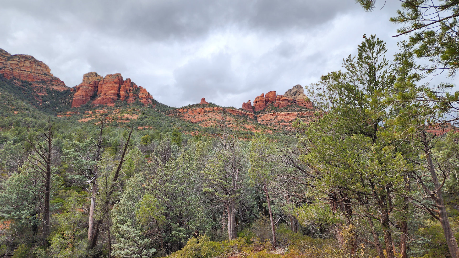 Brin Mesa Trail, Coconino National Forest, AZ