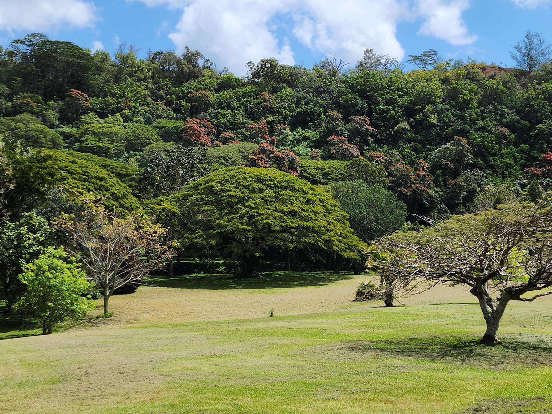 Lawai, HI