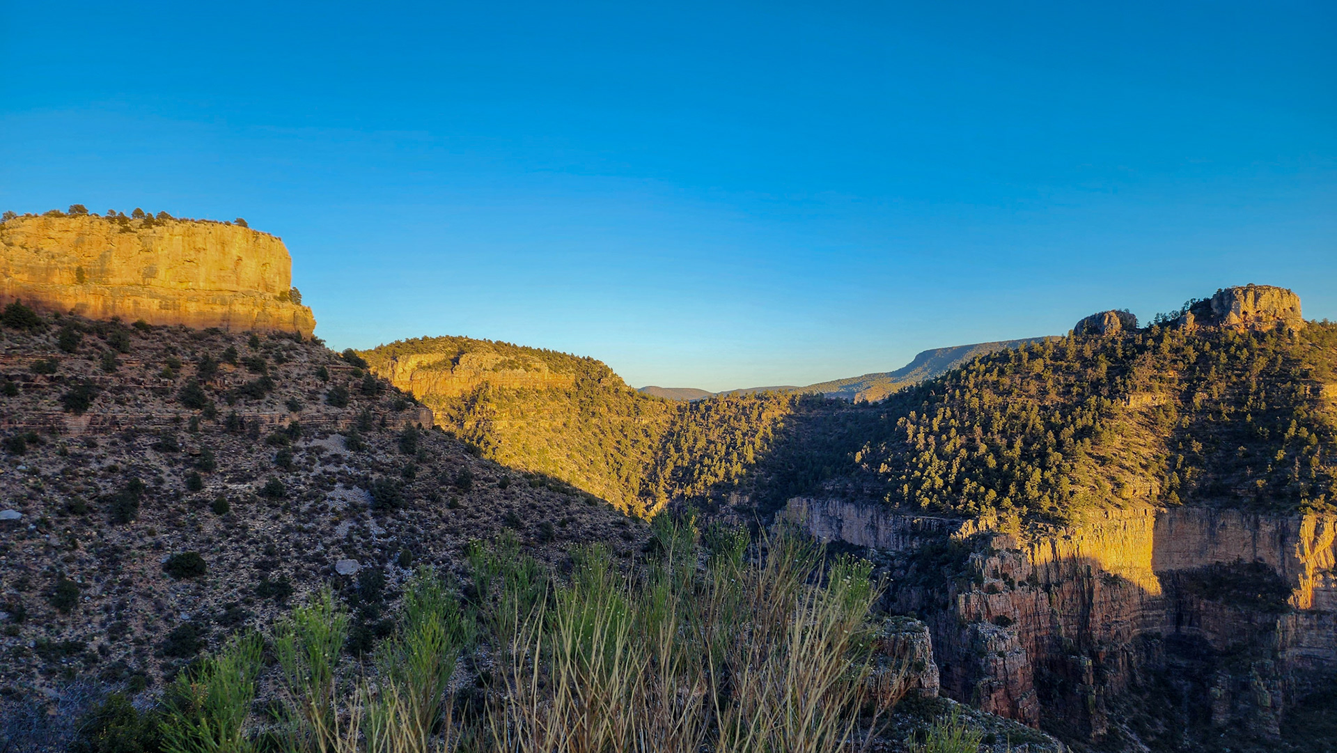 White River Canyon, AZ