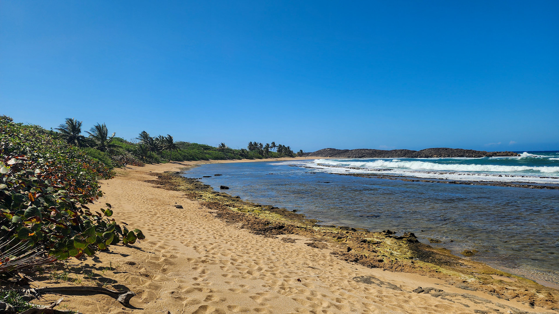 Playa La Esperanza, Barceloneta, Manati, Puerto Rico