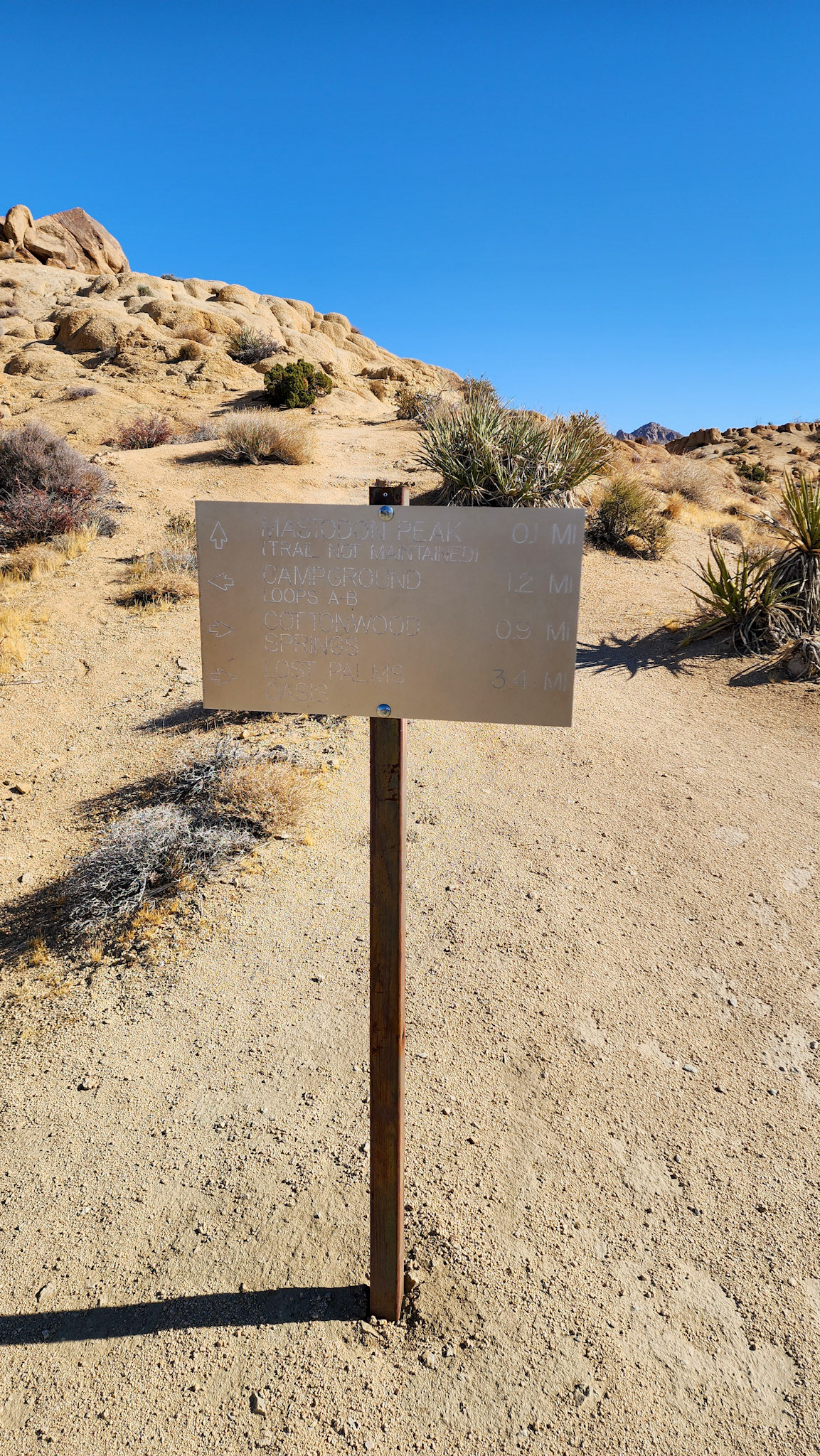 Mastodon Peak Area