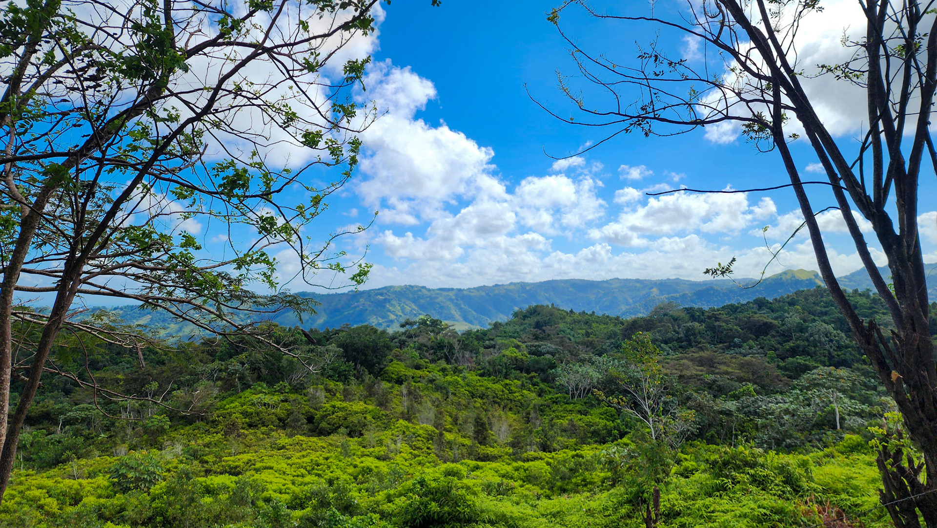 Along PR 6615, Puerto Rico