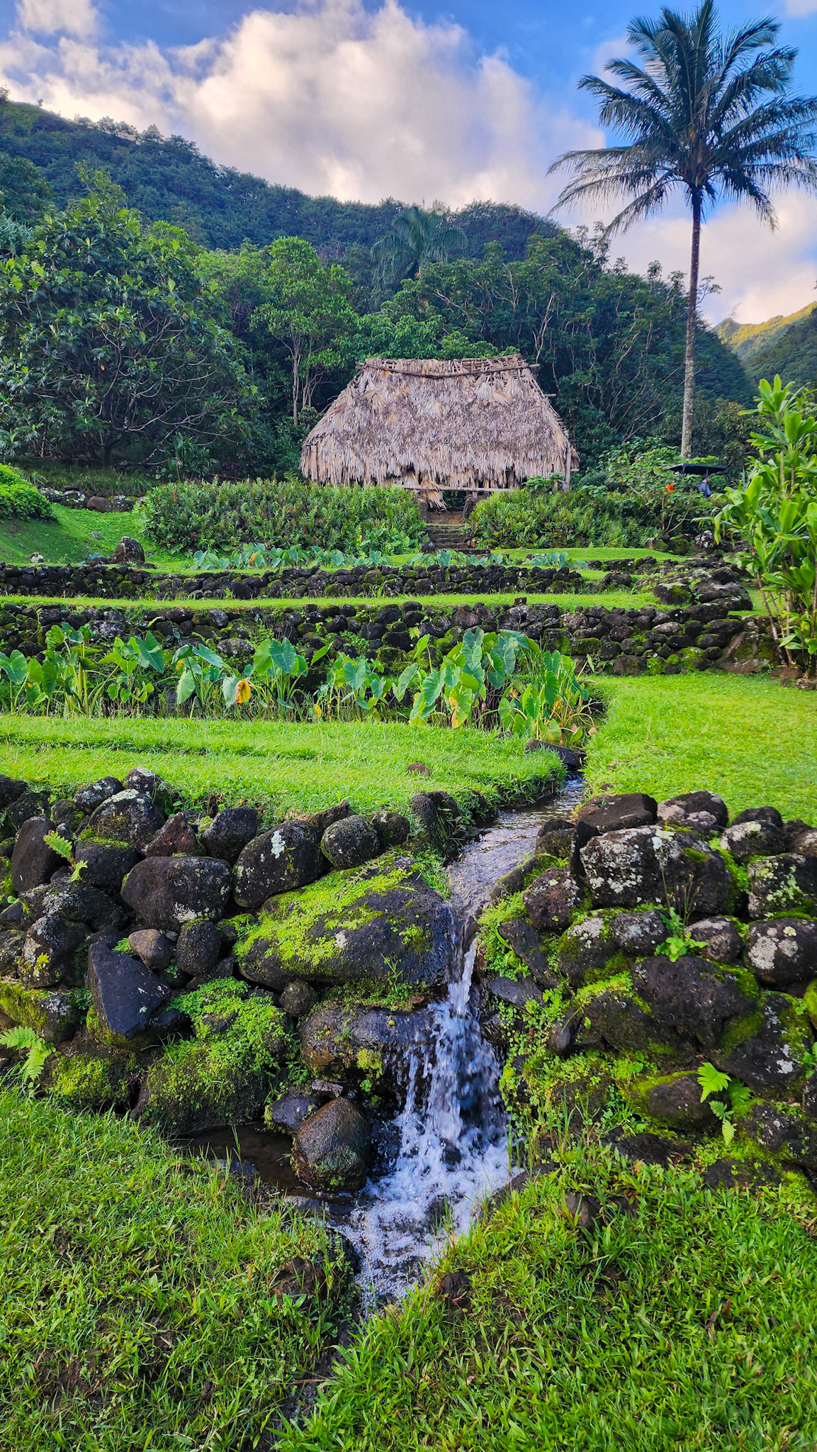 Limahuli Garden & Preserve, National Tropical Botanical Garden, Kaua'i, Hawai'i