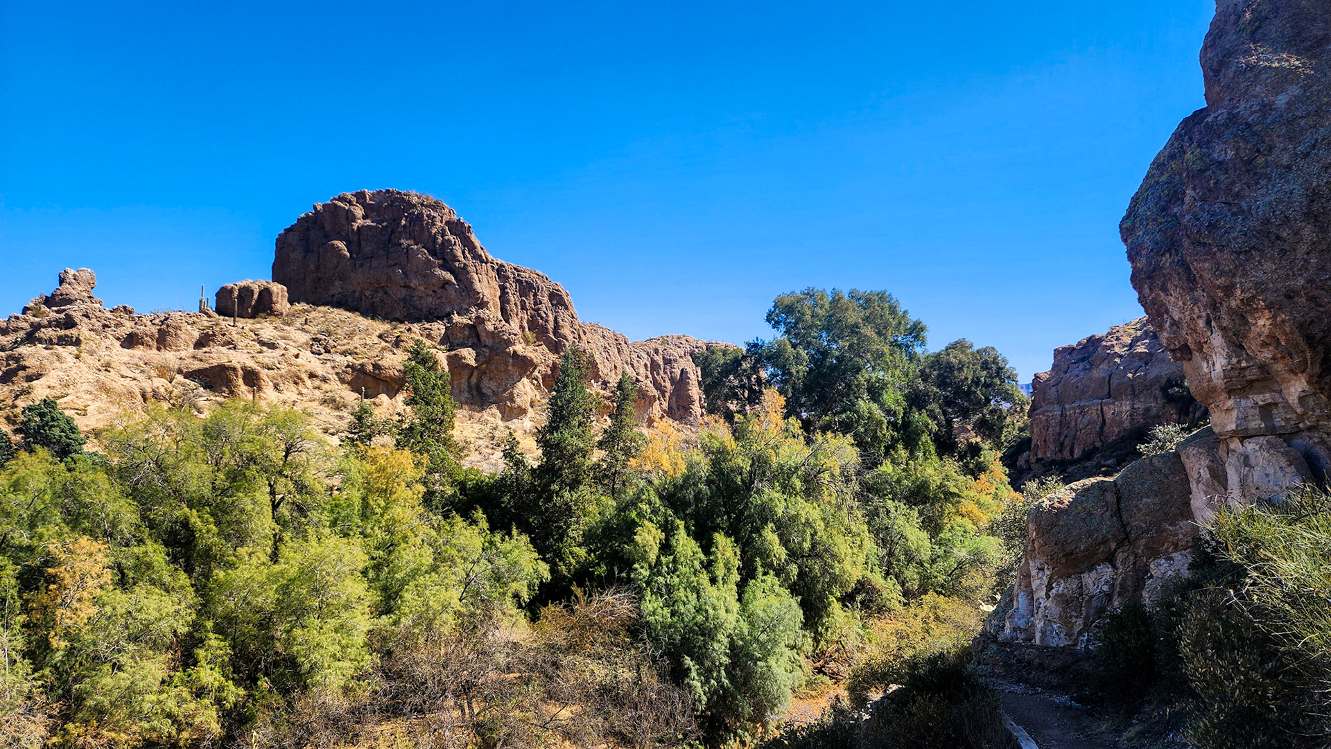 Boyce Thompson Arboretum