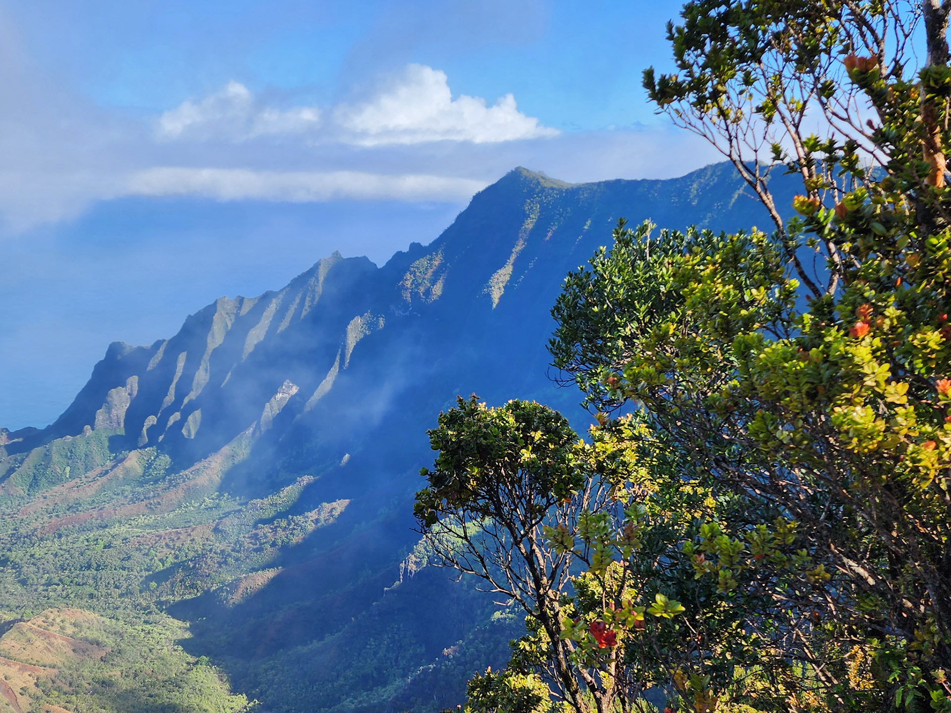 Pihea Trail, Hanapepe, HI