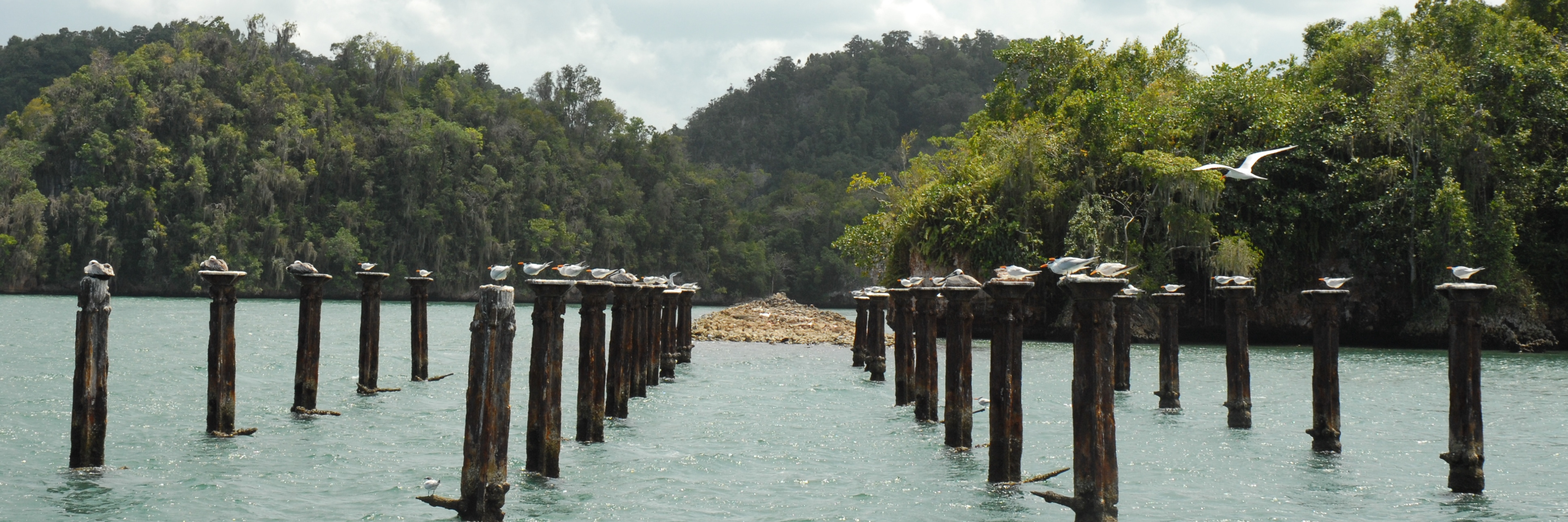 Los Haitises National Park, Dominican Republic
