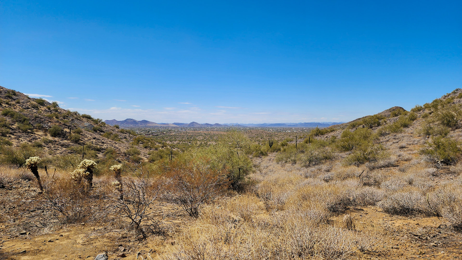 Cave Creek Regional Park, AZ