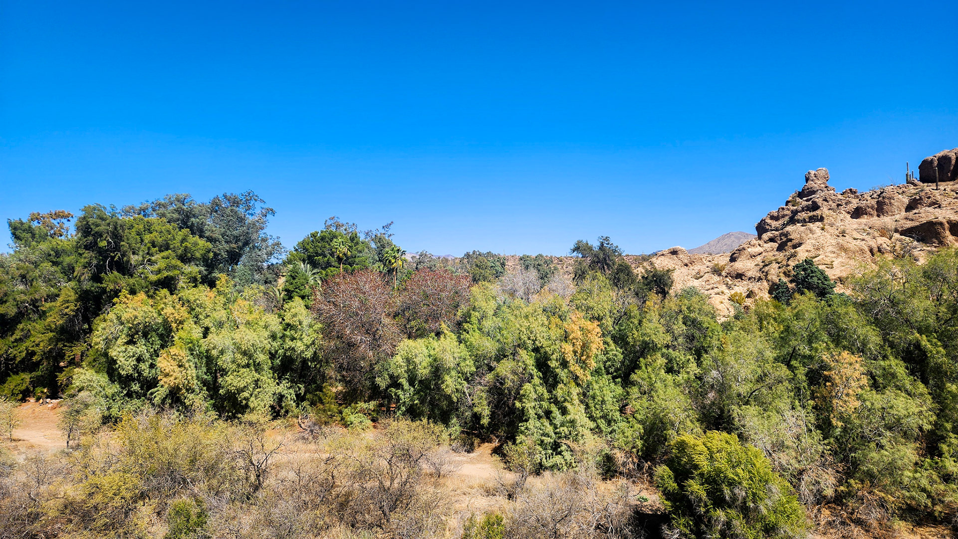 Boyce Thompson Arboretum