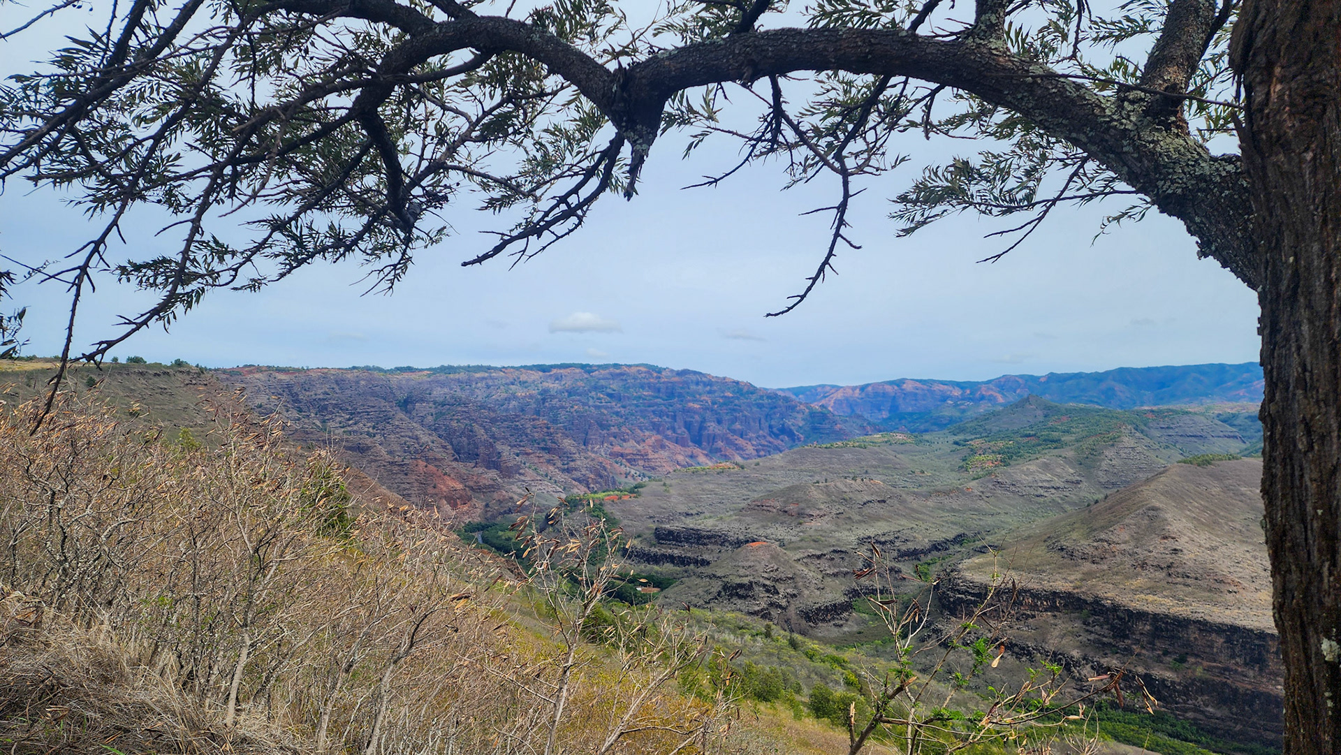 Waimea Canyon, Kaua'i, Hawai'i