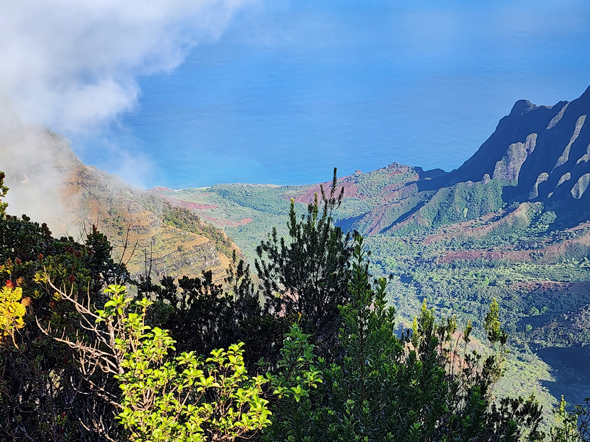 Pihea Trail, Hanapepe, HI