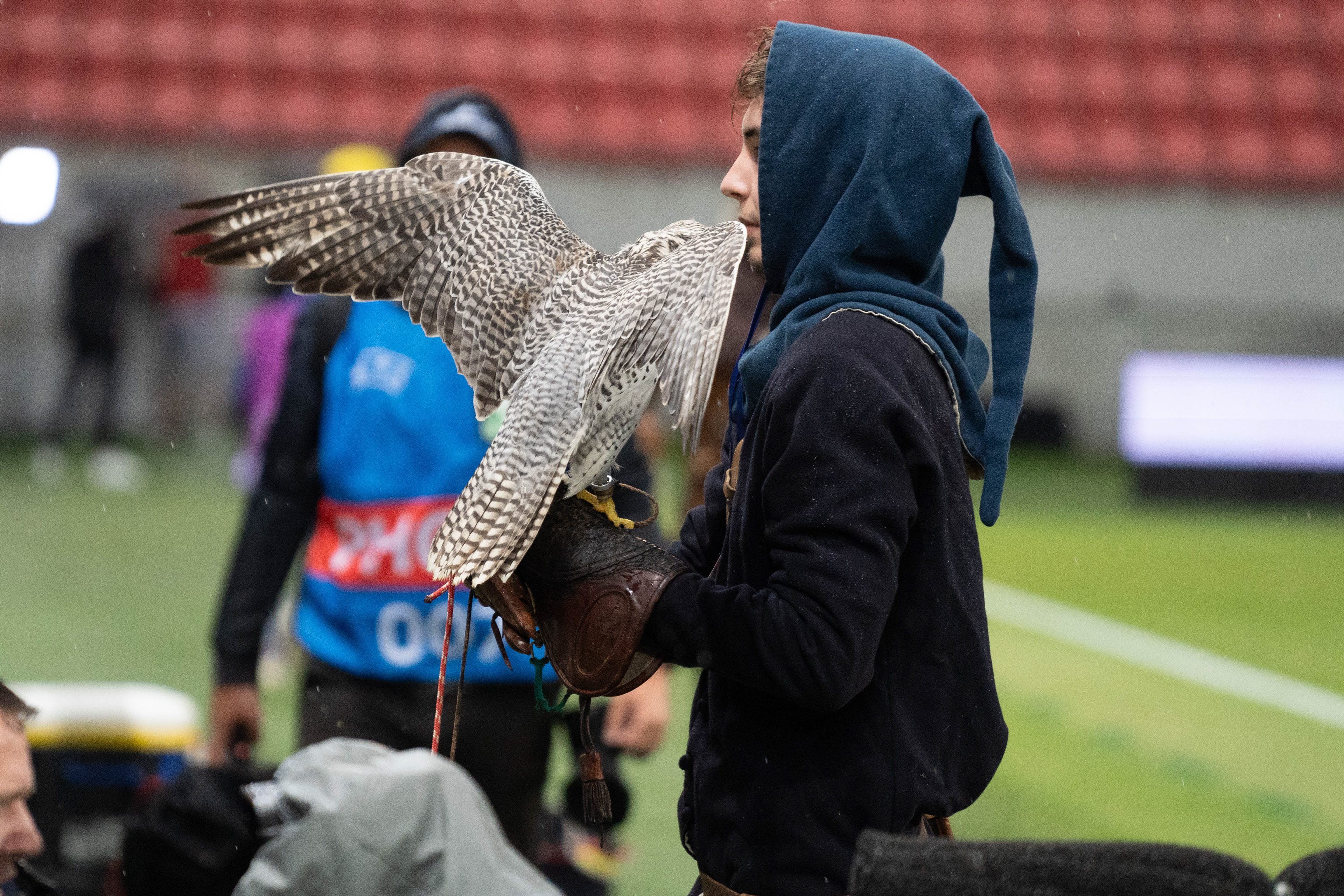 Prílet sokola pred začiatkom zápasu