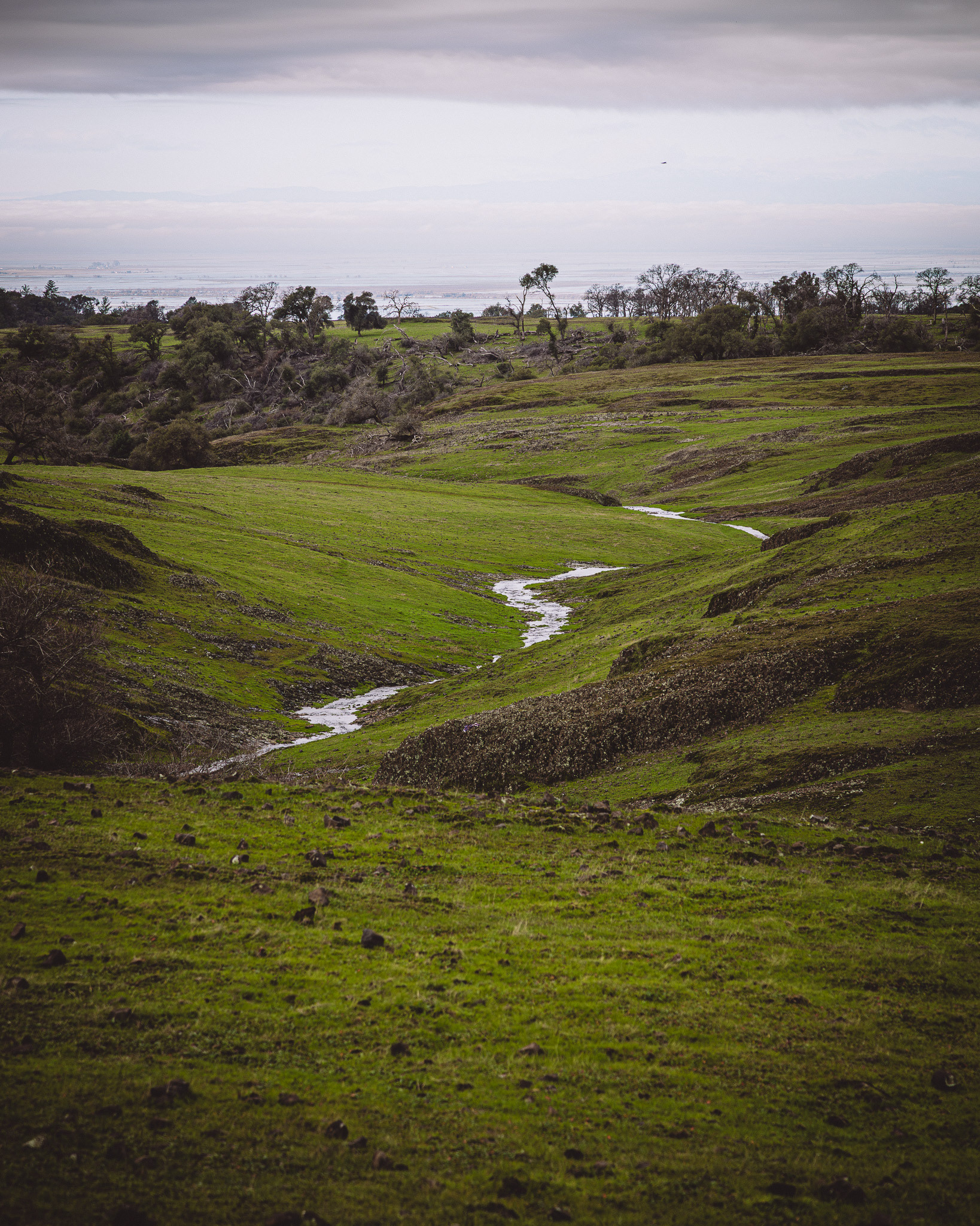 Seasonal Creek on Table mountain in California