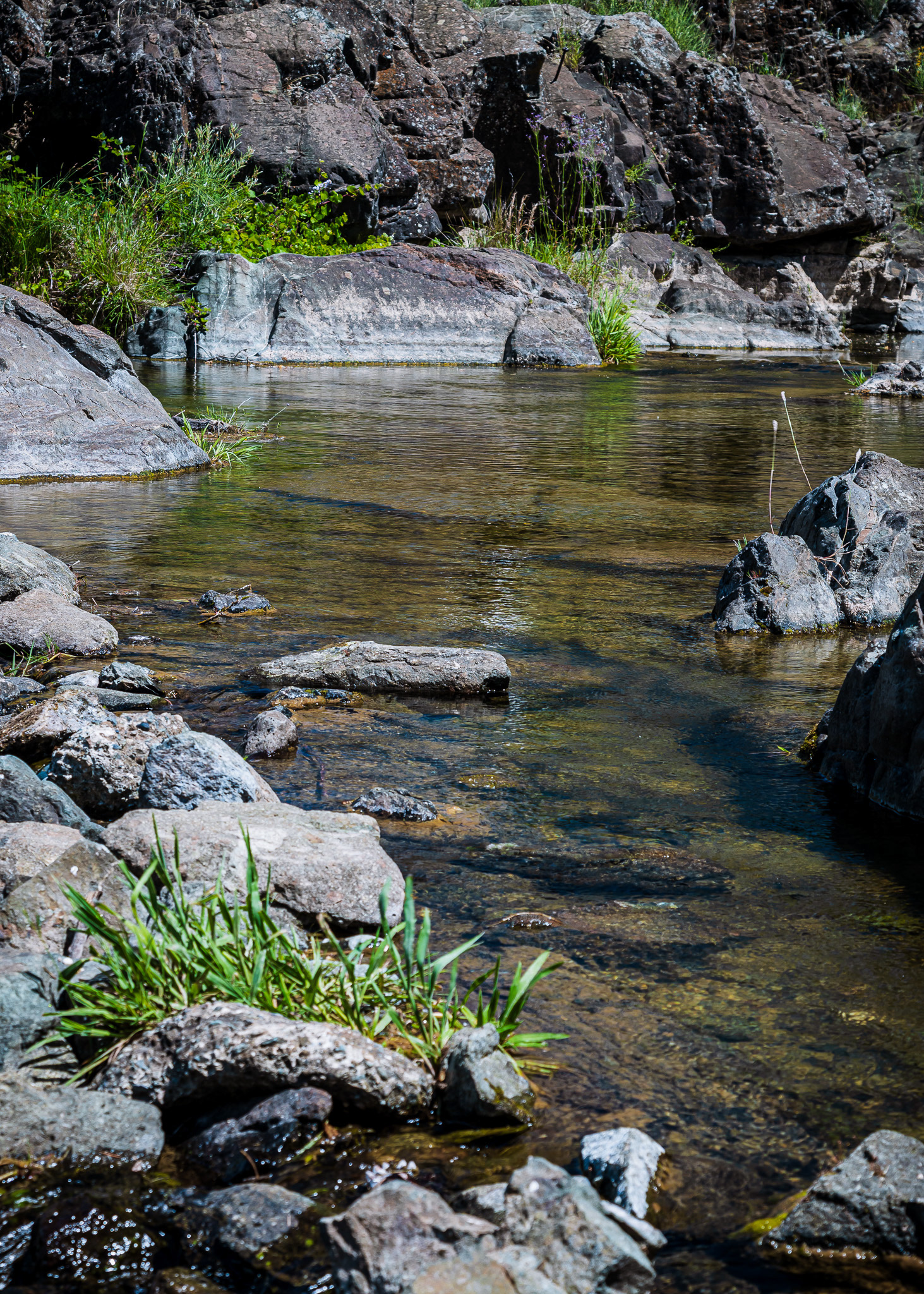 water and rocks on the feather river