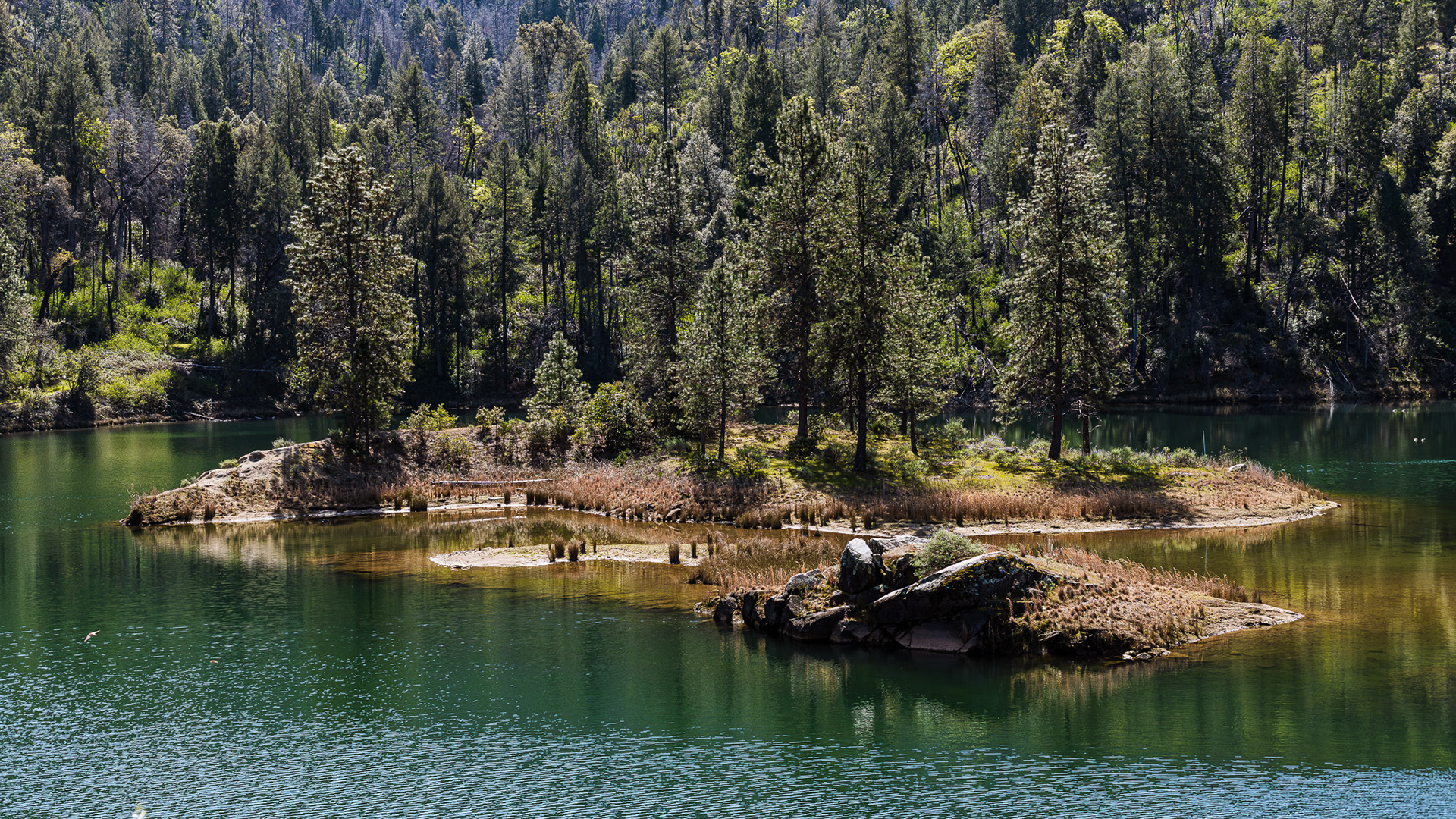 Island on ponderosa resevoir, lake oroville