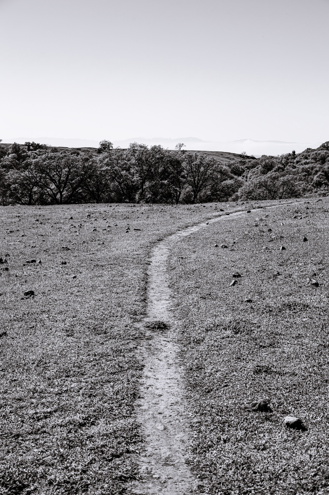 Paths, table mountain