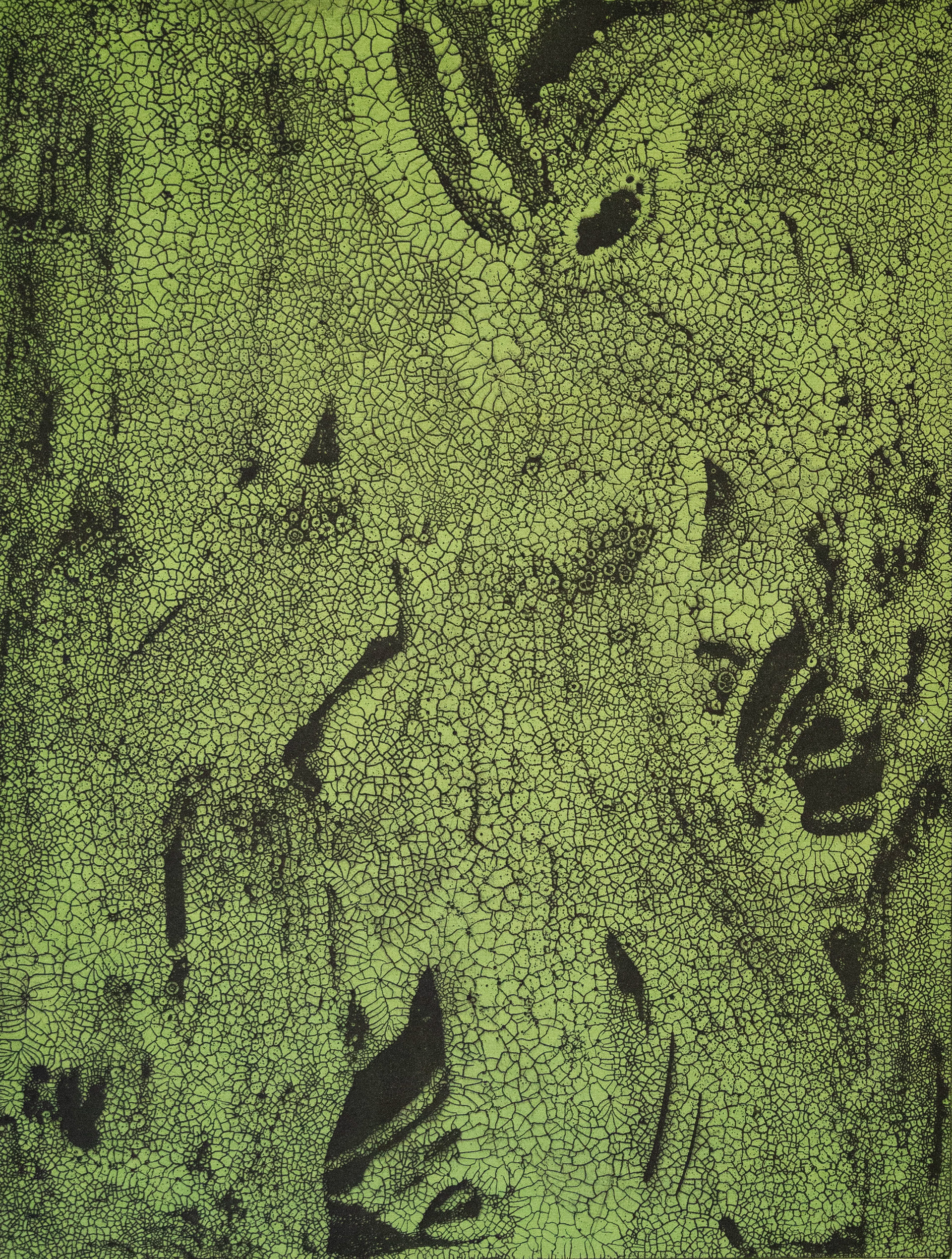 Green Marsh