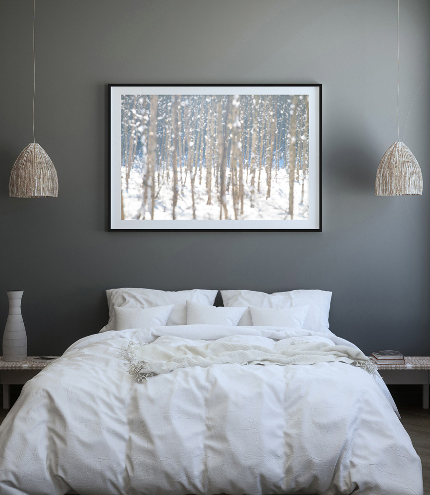 FOREST_15