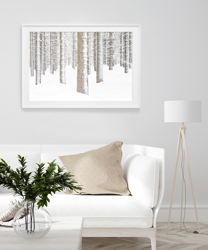 FOREST_18
