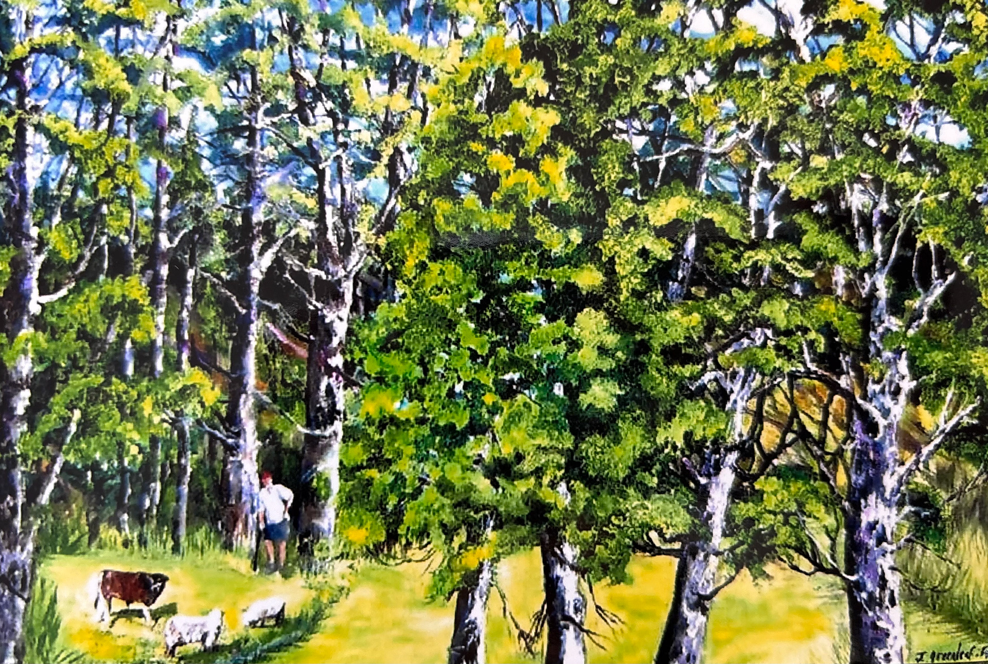 Rounding Up the Strays