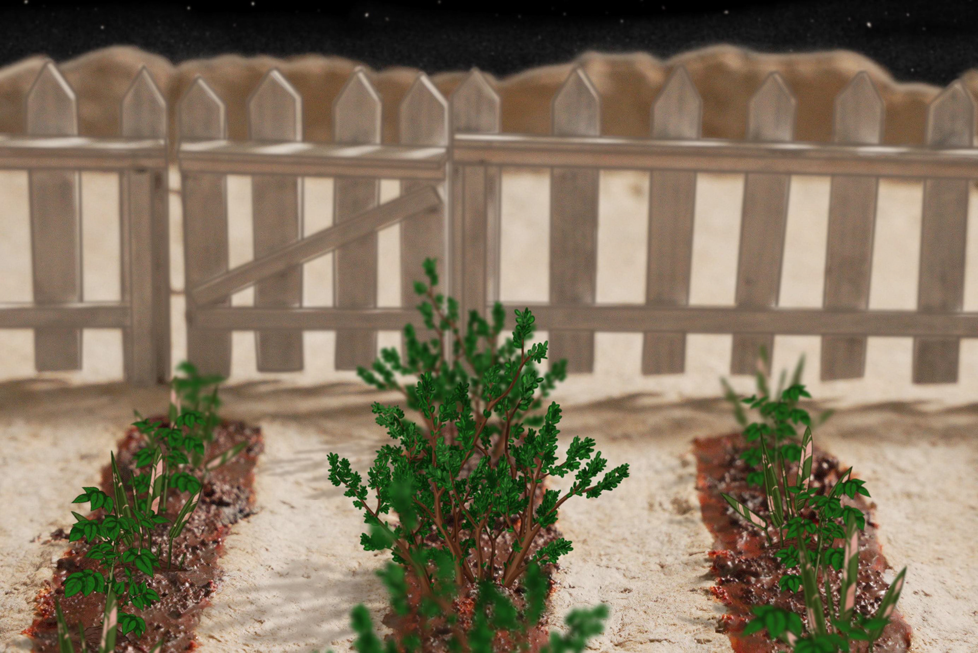 The finished garden set with composited 2D plants.