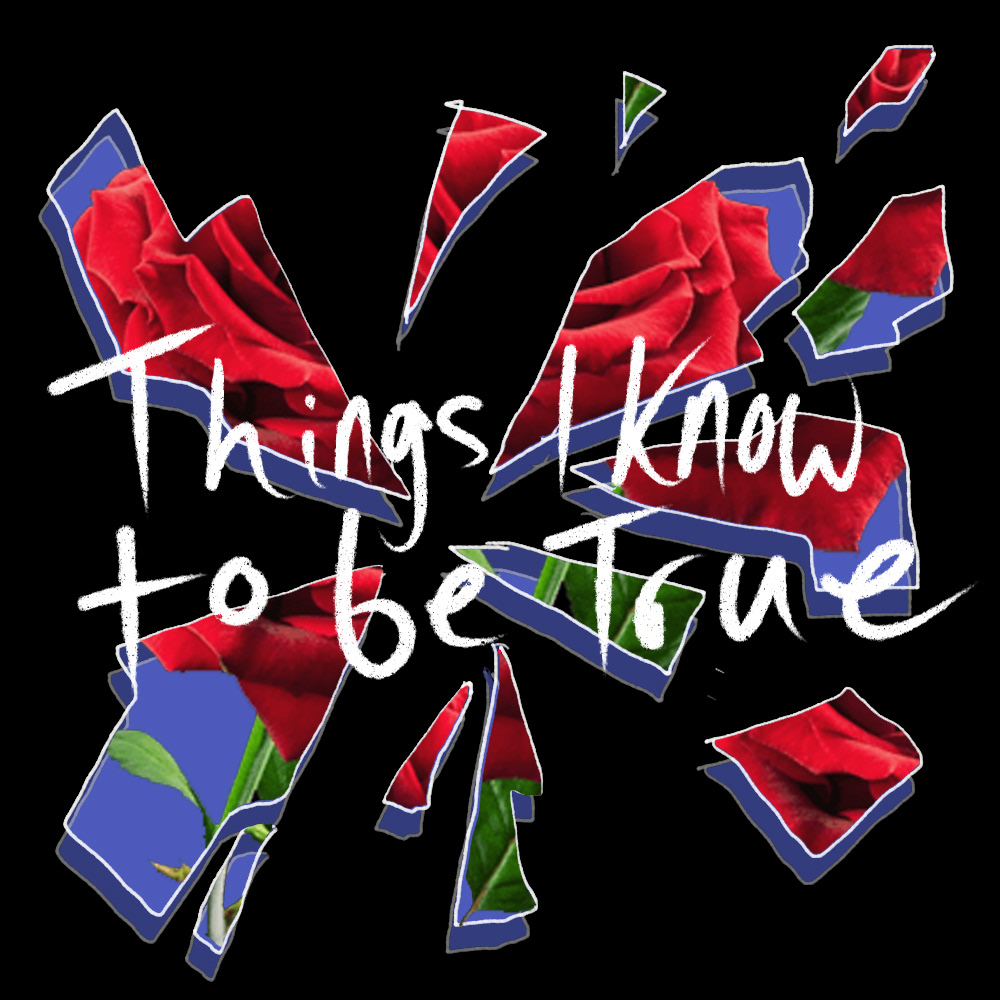 Initial logo concepts for Bedlam Theatre's production of 'Things I know to be True' (2019)
