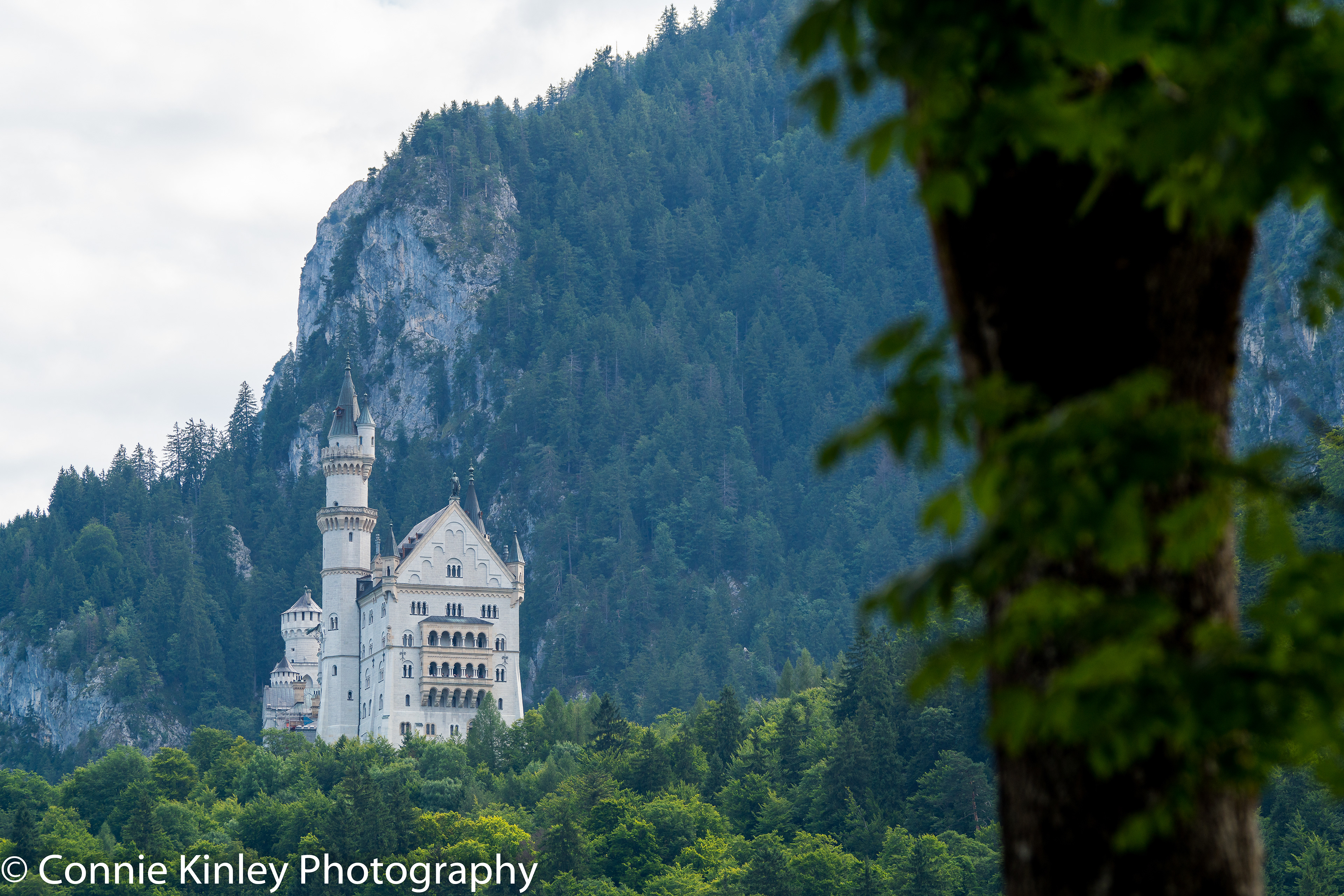 Neuschwanstein