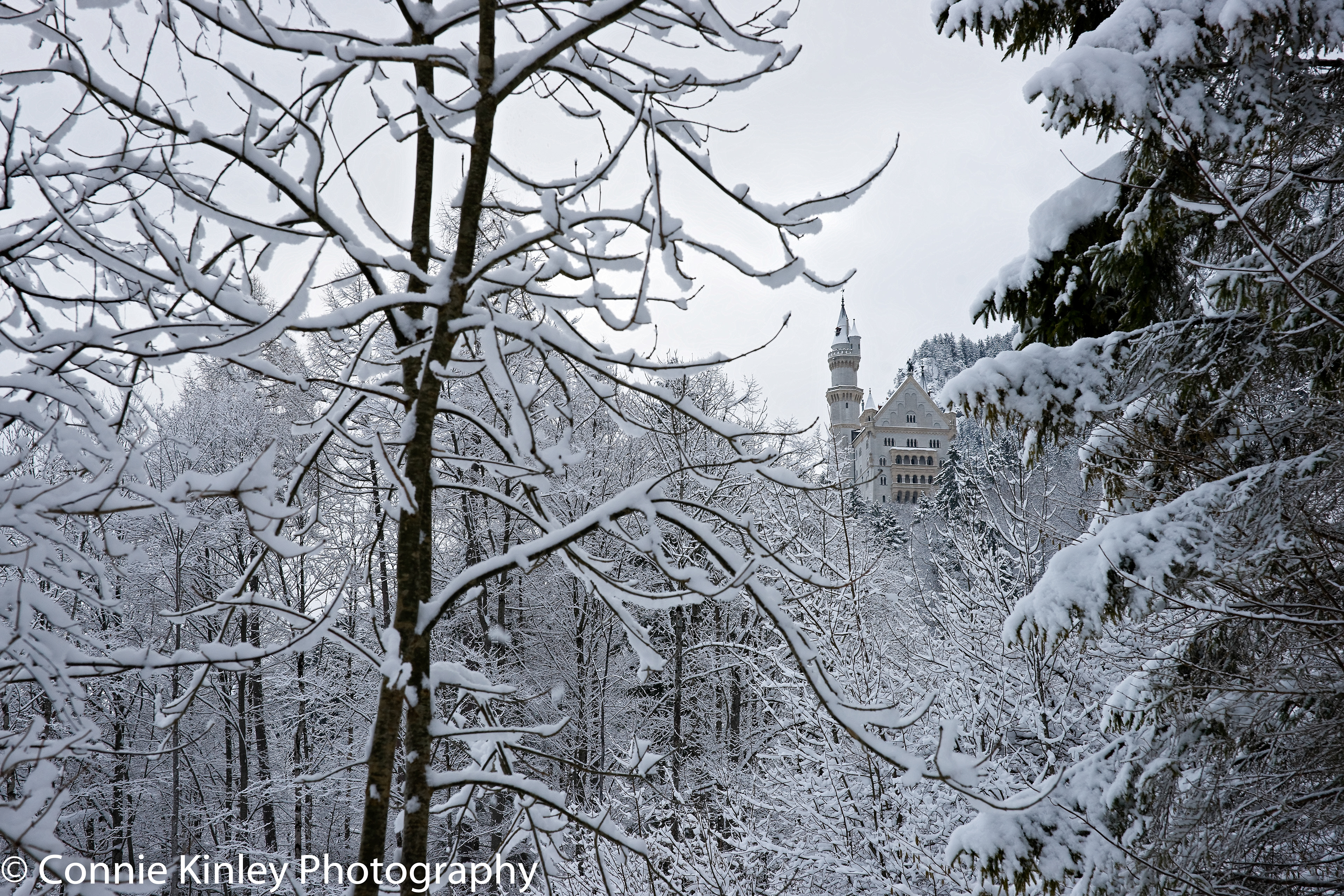 Neuschwanstein