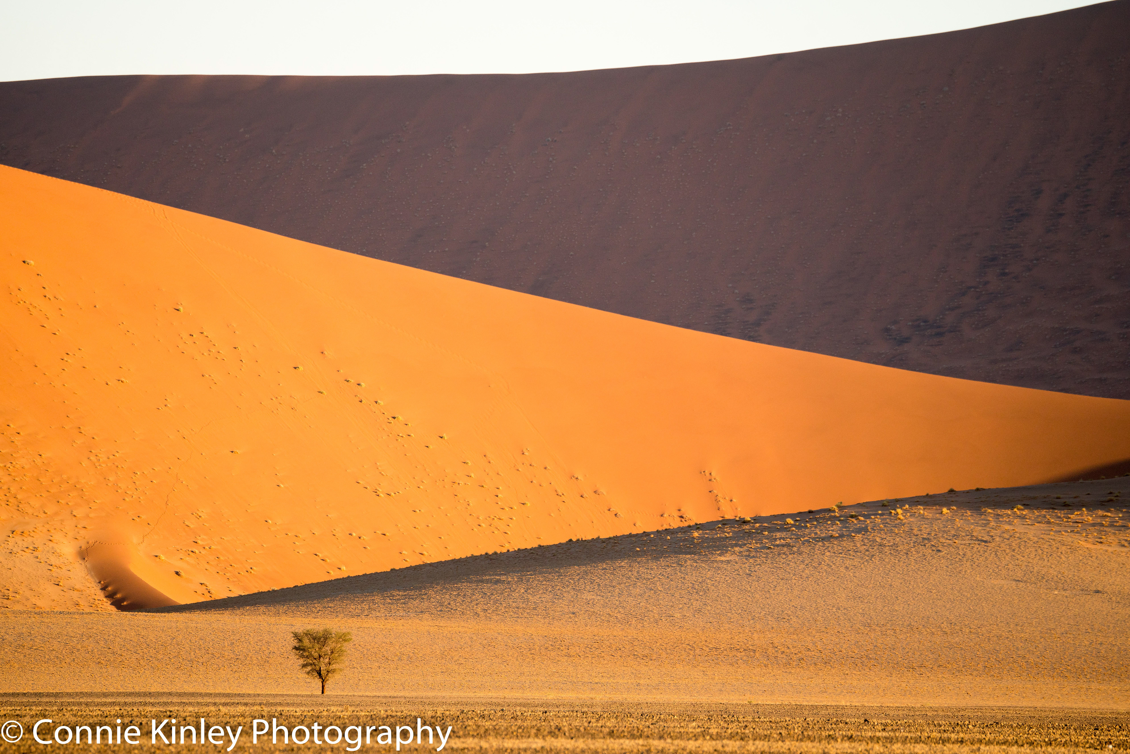 Dunes, Sossusvlei